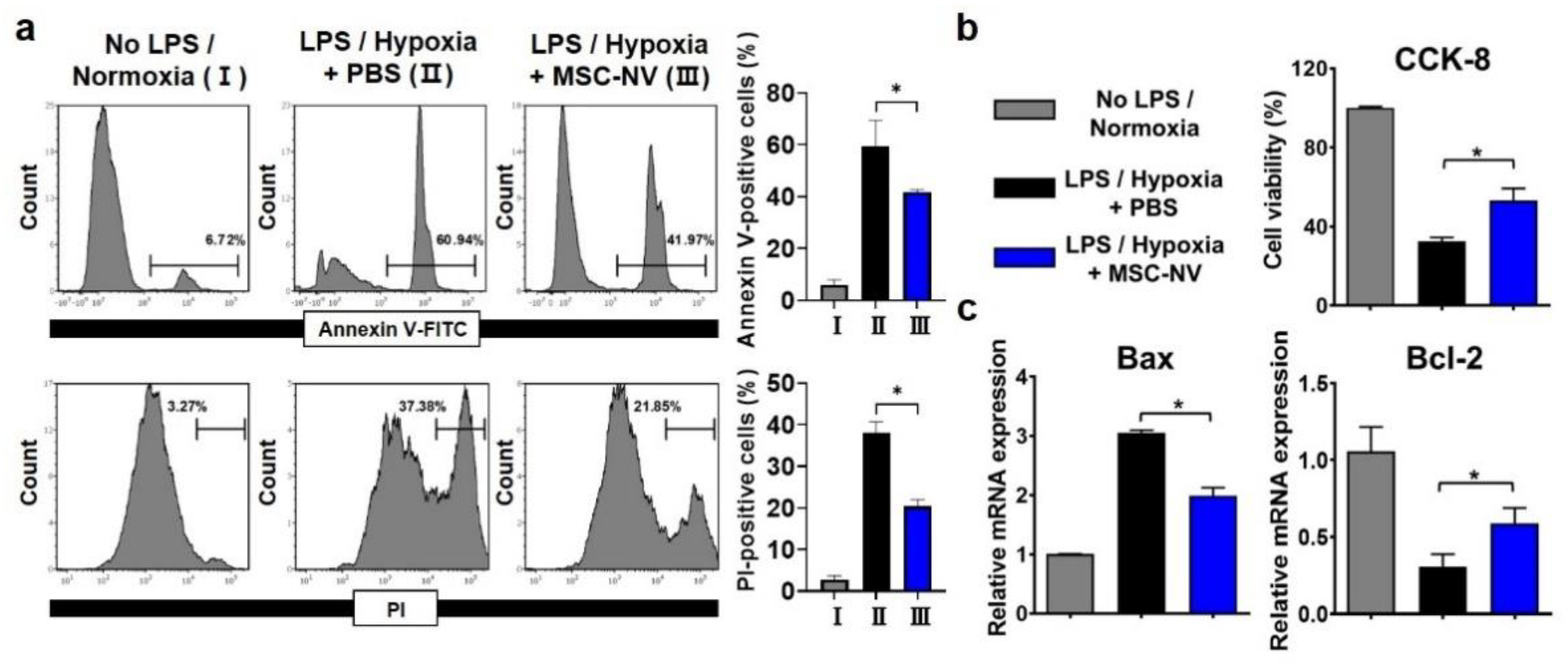 Materials 14 01078 g004