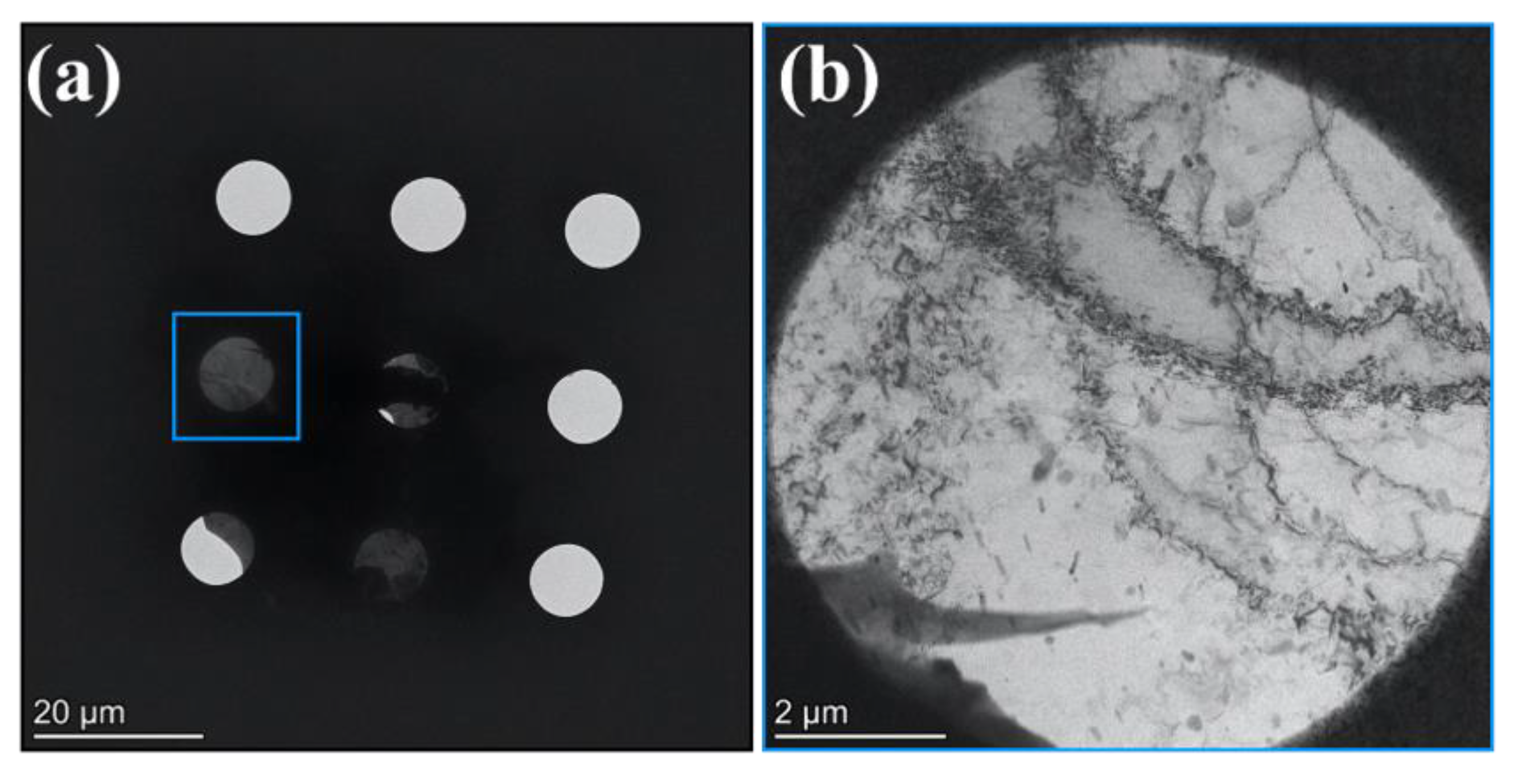 Materials 14 01085 g002