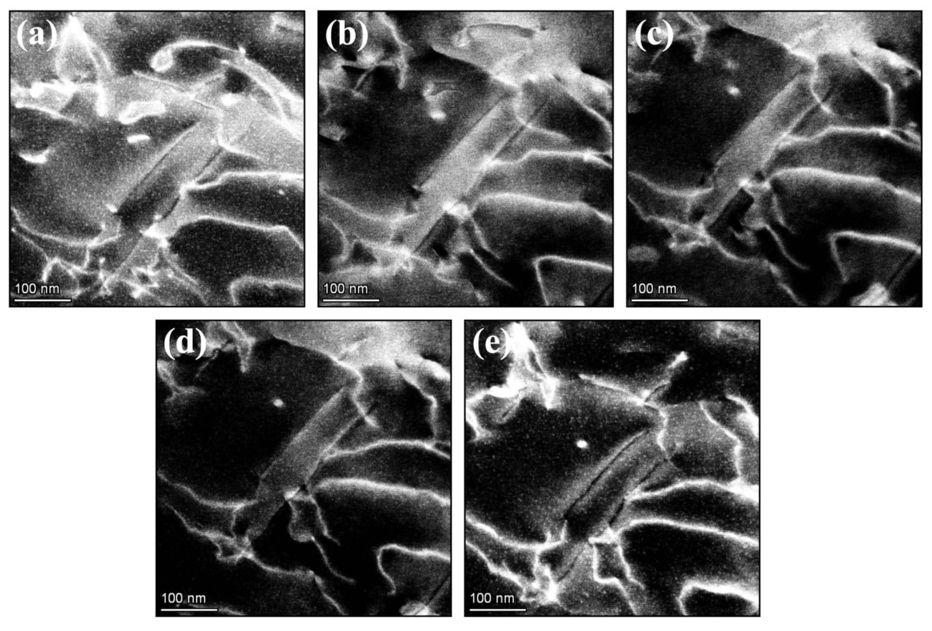 Materials 14 01085 g003
