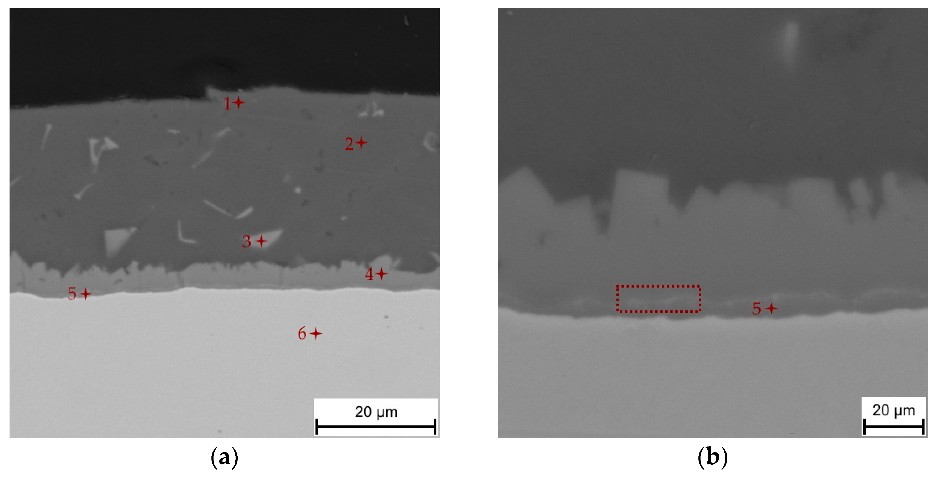 Materials 14 01125 g001