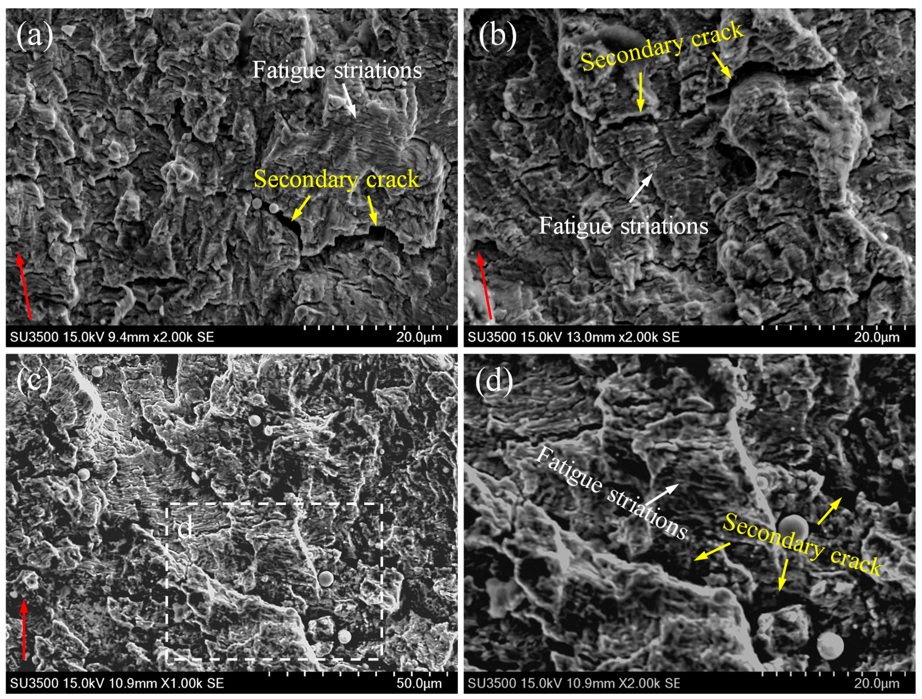 Materials 14 01159 g004