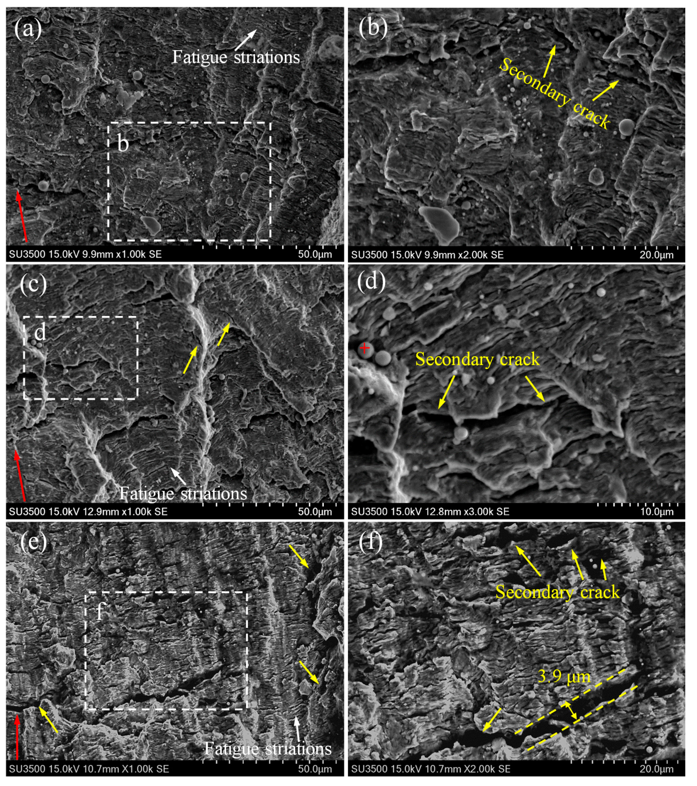 Materials 14 01159 g006