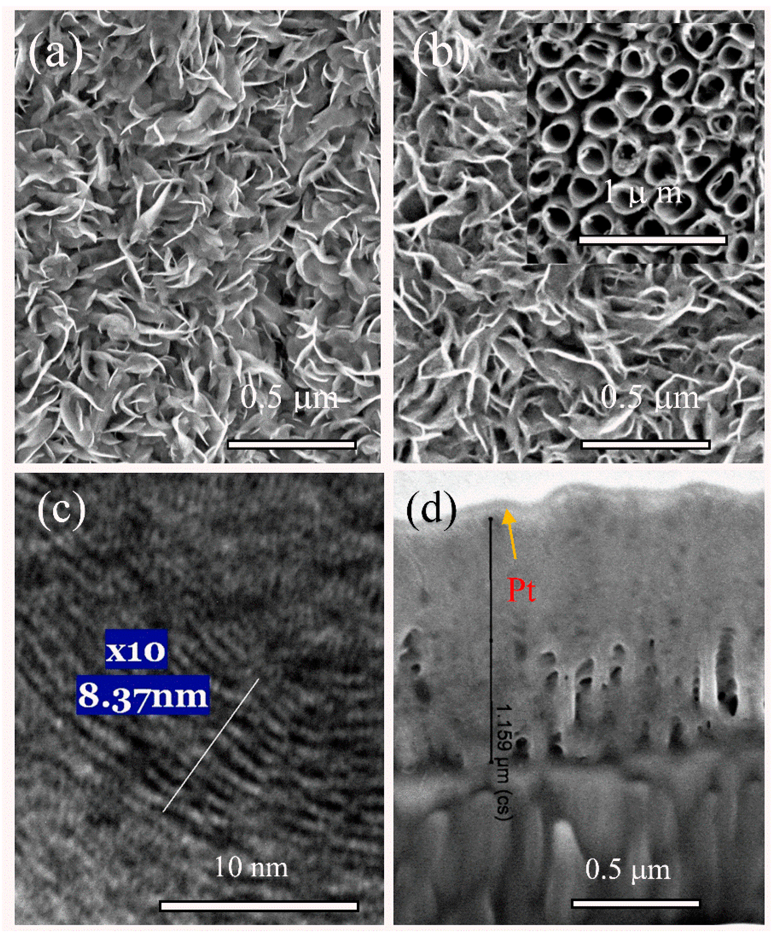Materials 14 01165 g001 Materials 14 01165 g001