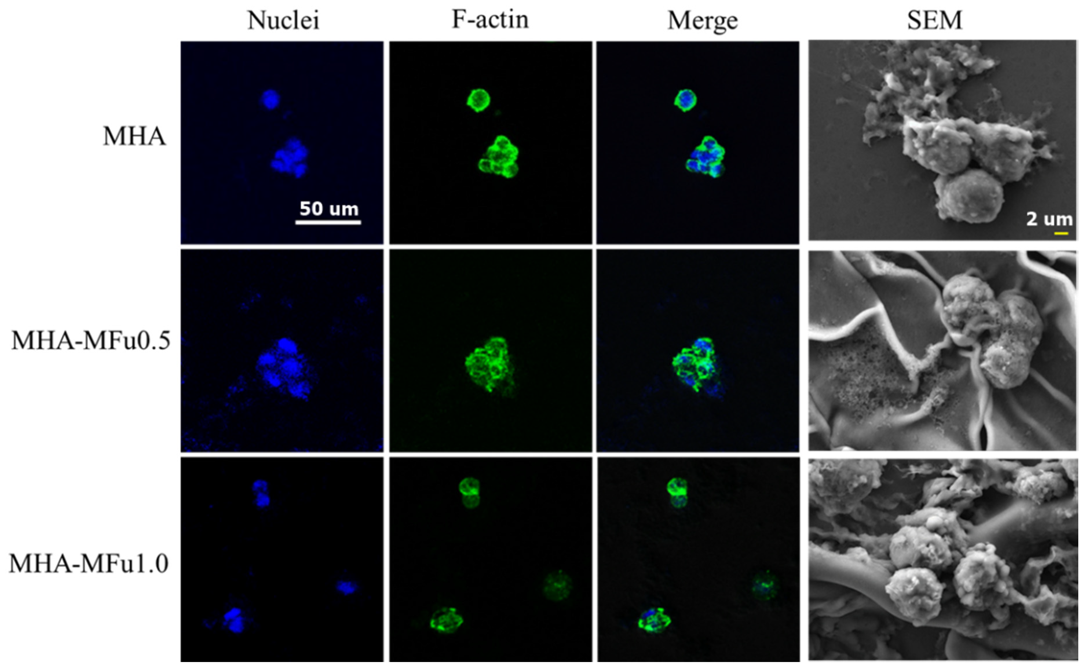 Materials 14 01168 g007