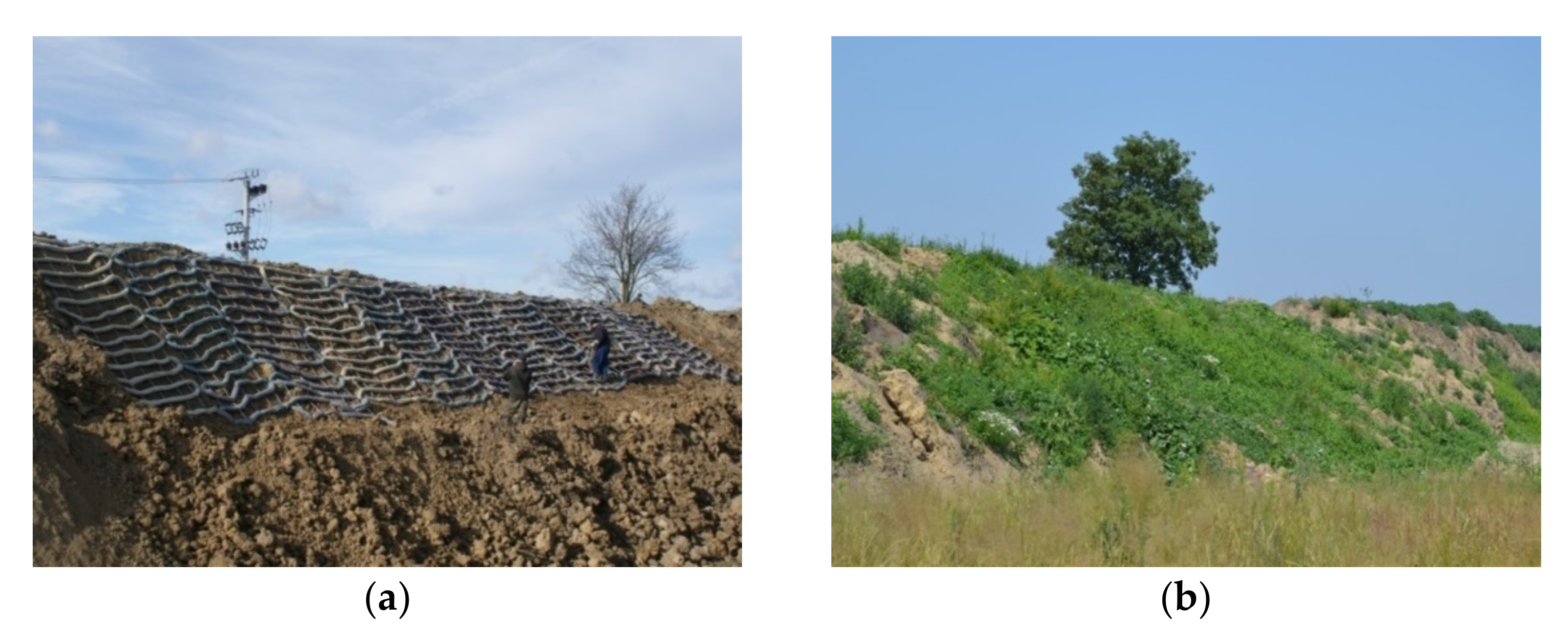 Materials 14 01179 g001 Materials 14 01179 g001