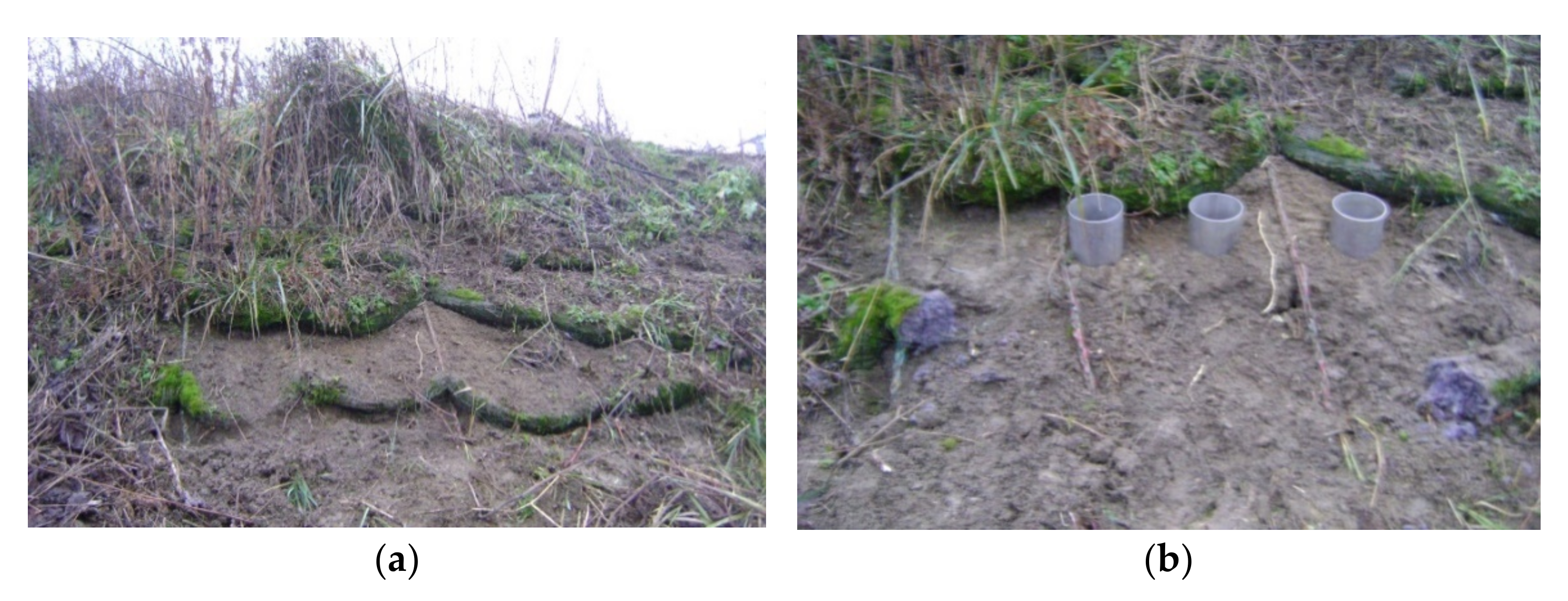 Materials 14 01179 g005 Materials 14 01179 g005