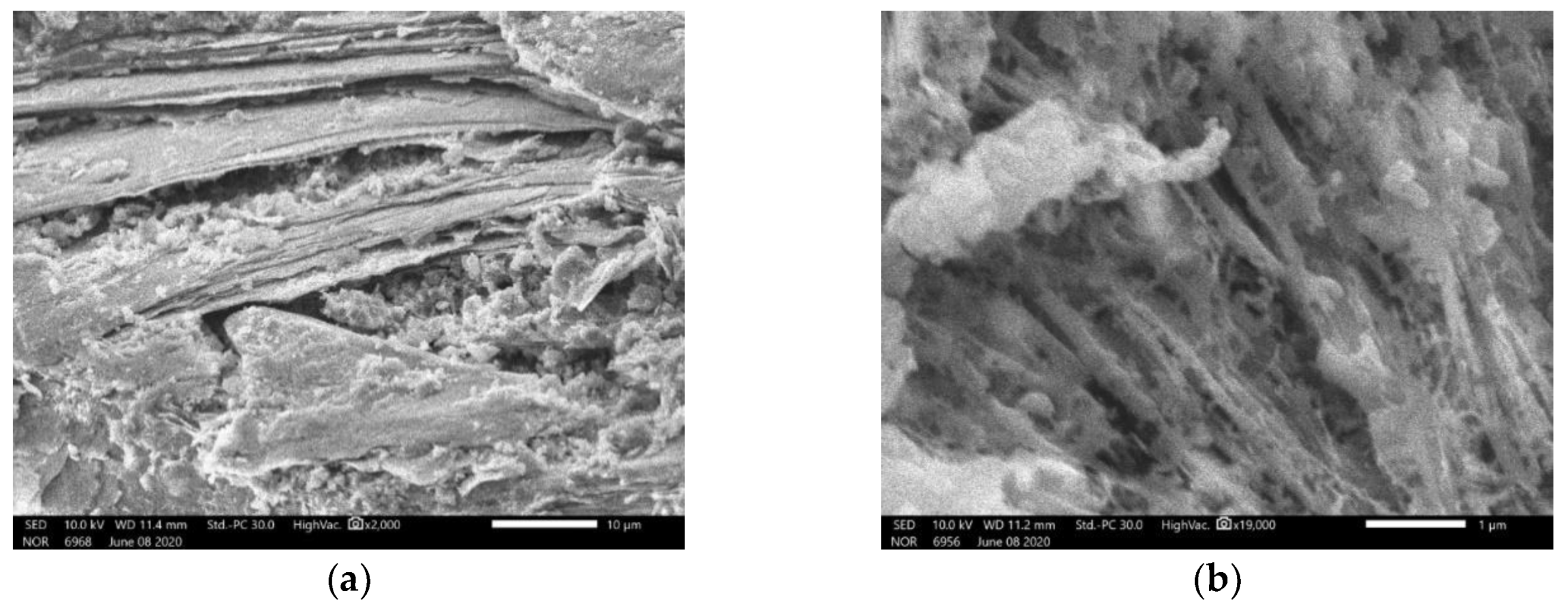 Materials 14 01180 g016