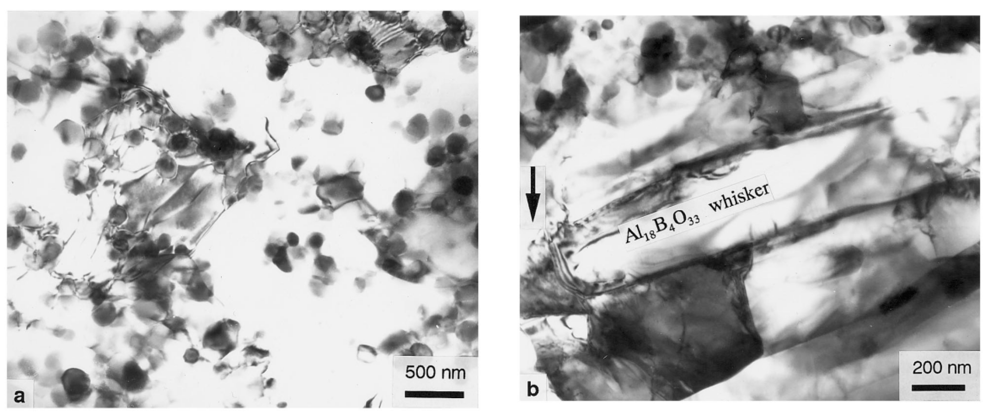 Materials 14 01217 g005