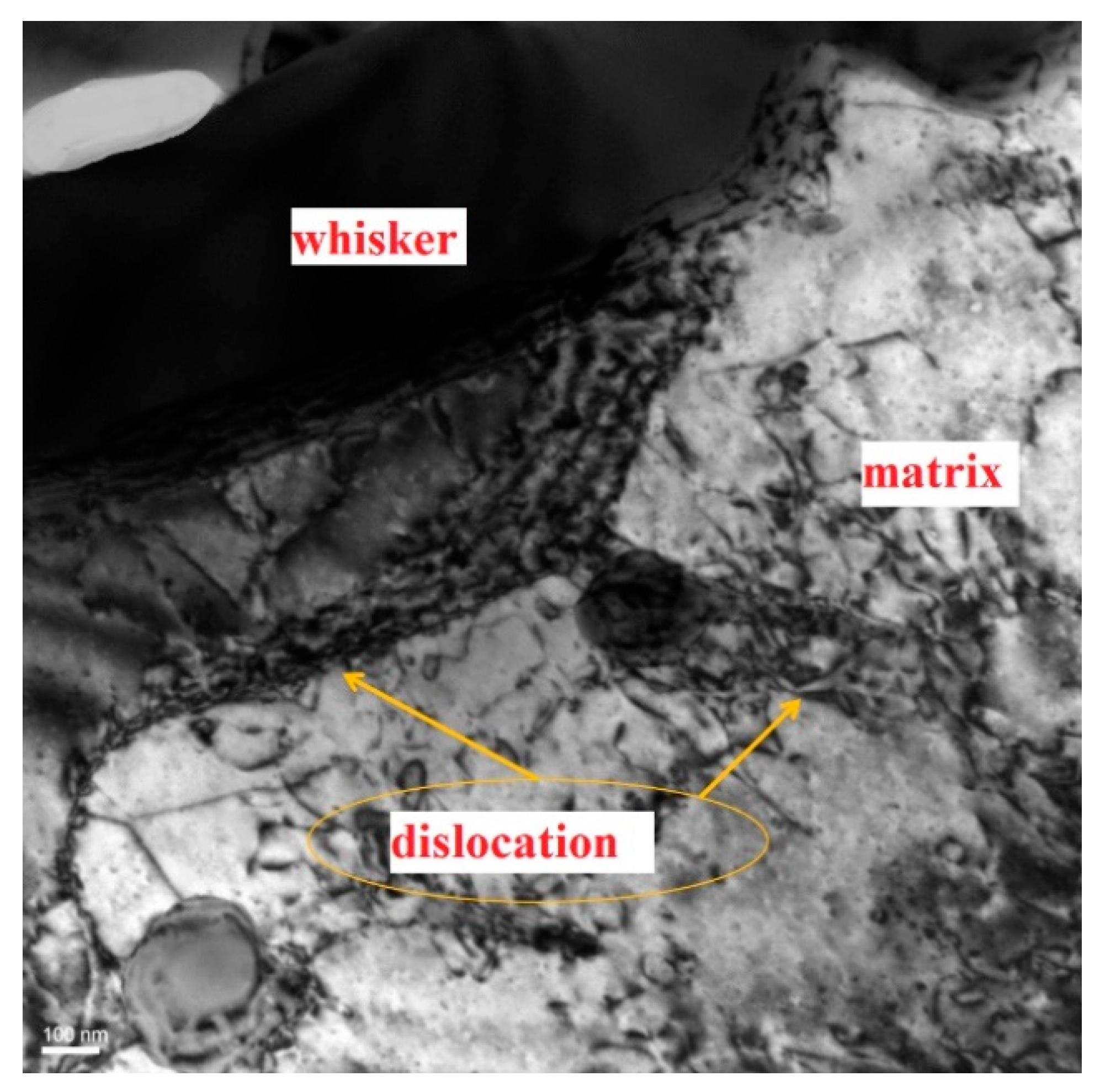 Materials 14 01217 g008