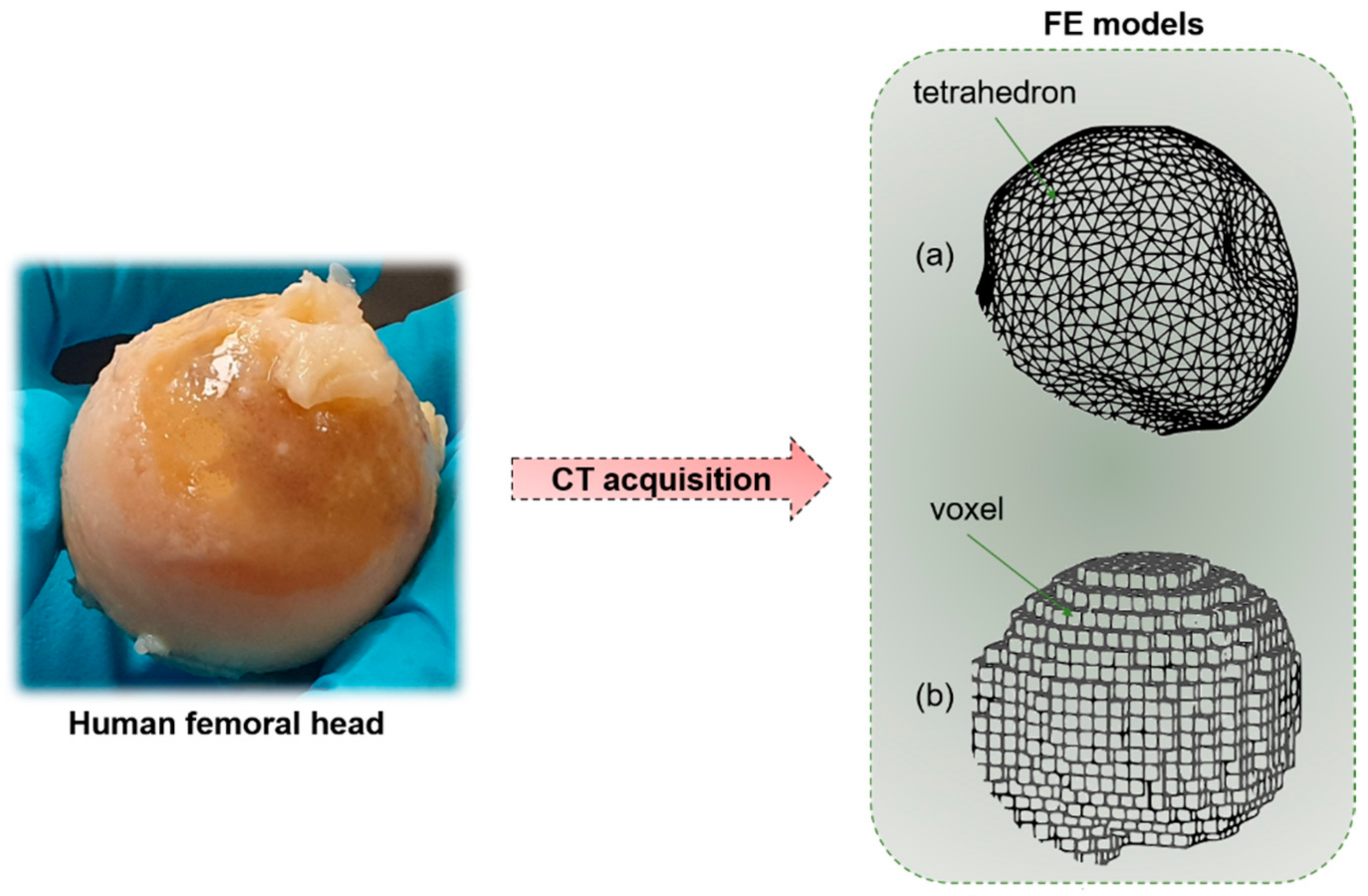 Materials 14 01240 g008