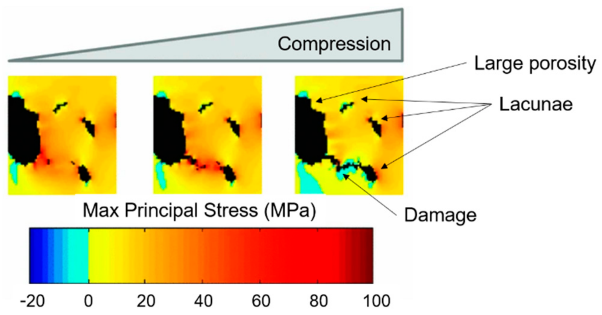 Materials 14 01240 g012
