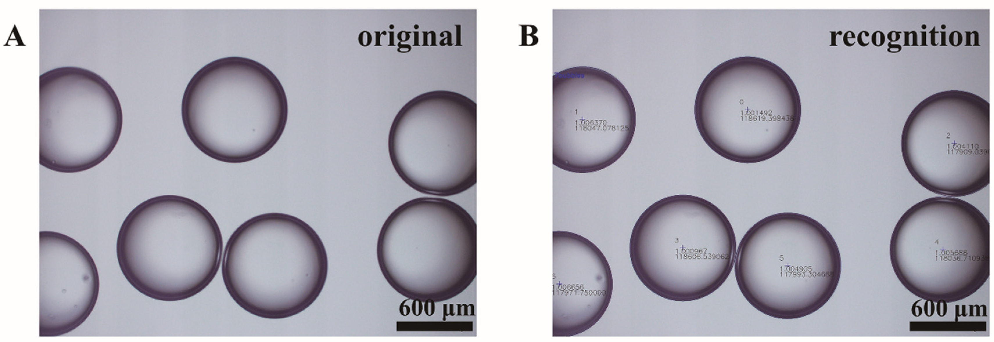 Materials 14 01263 g002 Materials 14 01263 g002