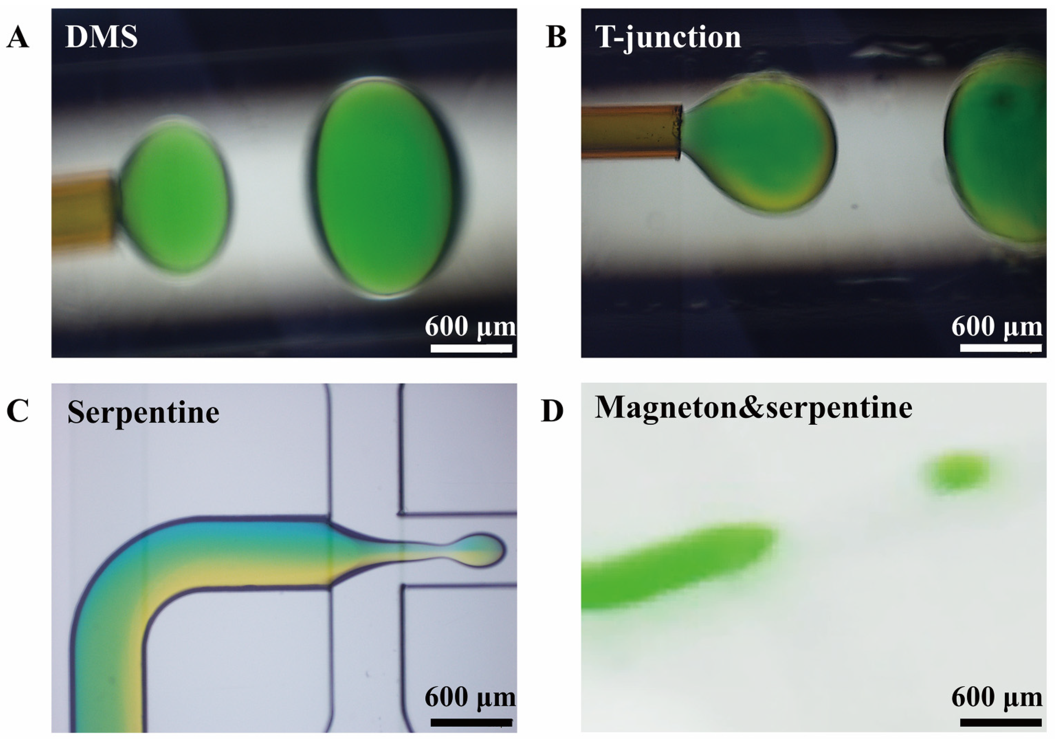 Materials 14 01263 g007 Materials 14 01263 g007