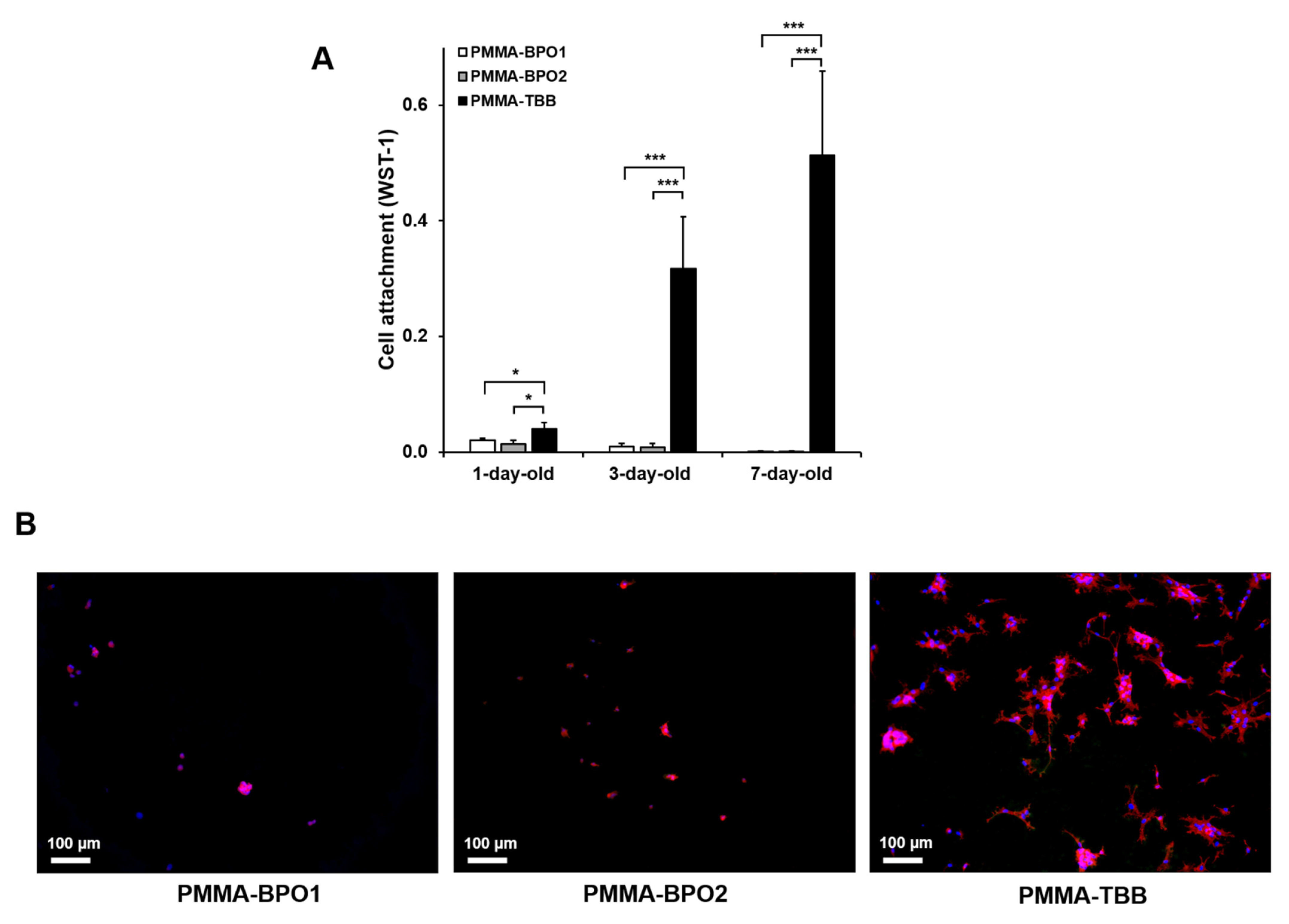 Materials 14 01289 g001 Materials 14 01289 g001