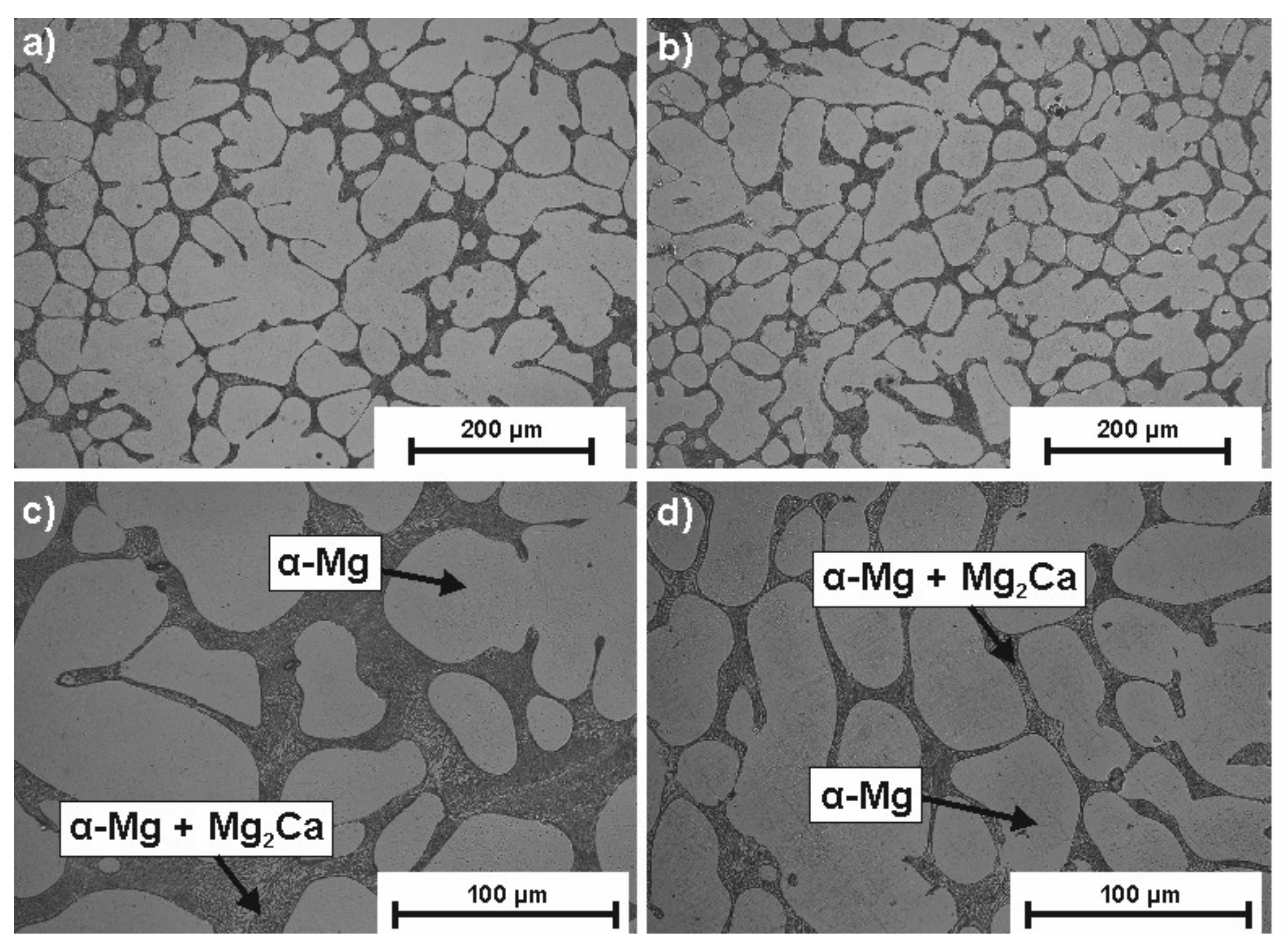 Materials 14 01360 g002 Materials 14 01360 g002