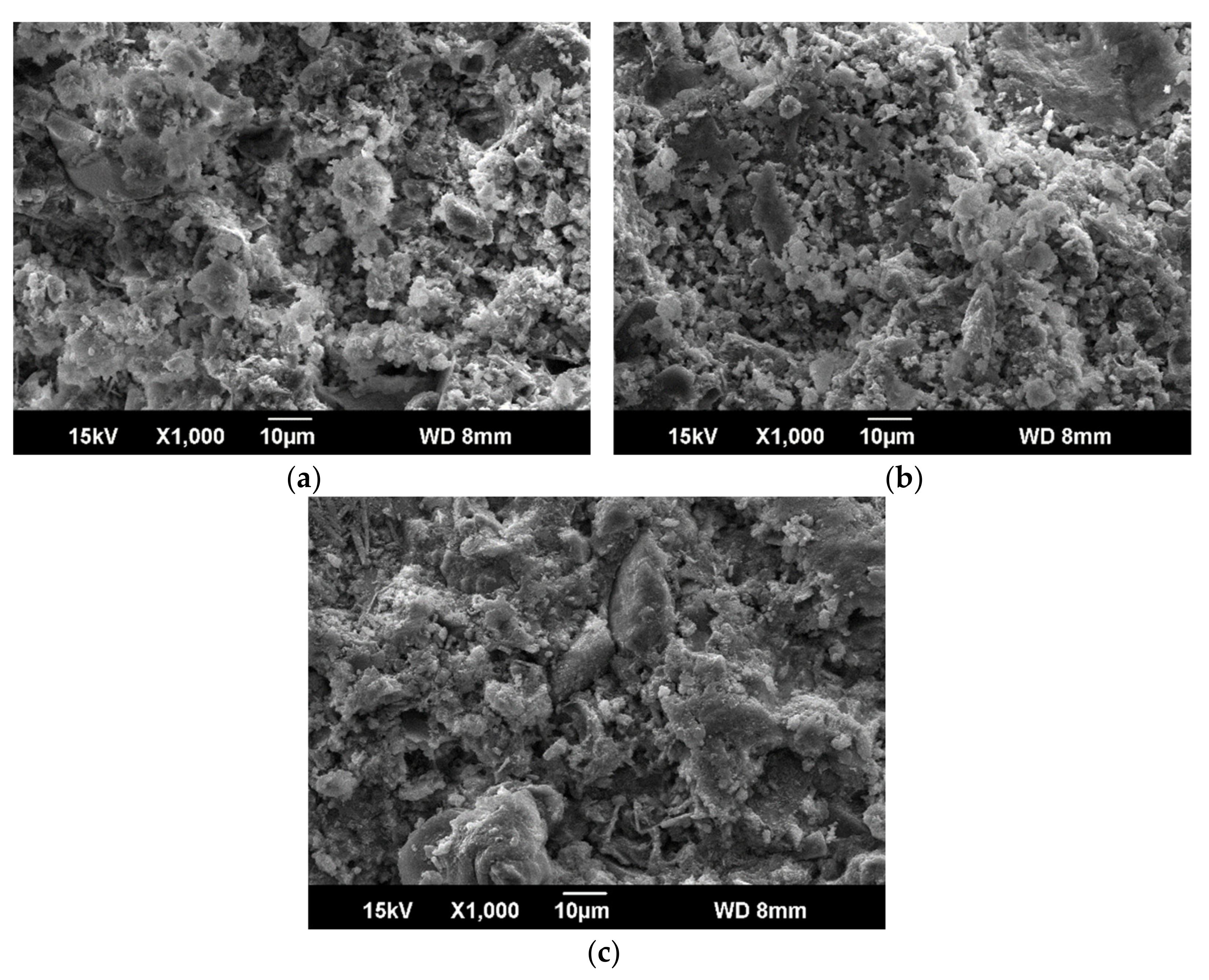 Materials 14 01362 g010