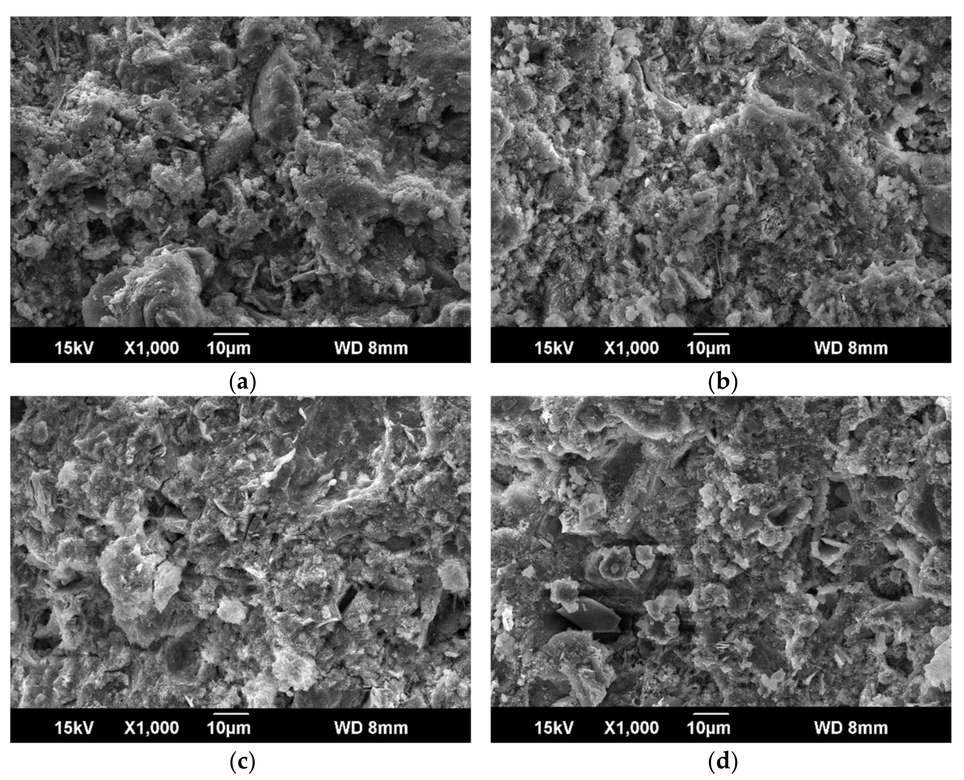 Materials 14 01362 g011