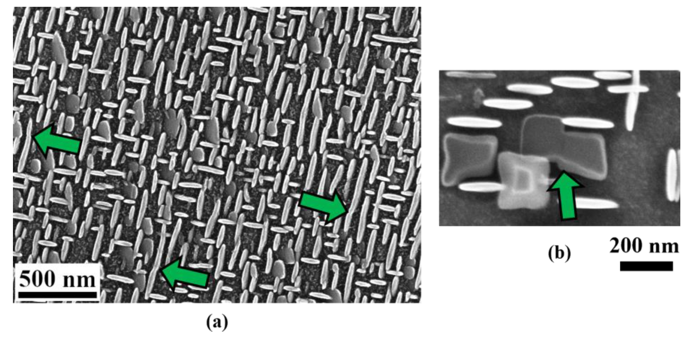 Materials 14 01373 g014 Materials 14 01373 g014