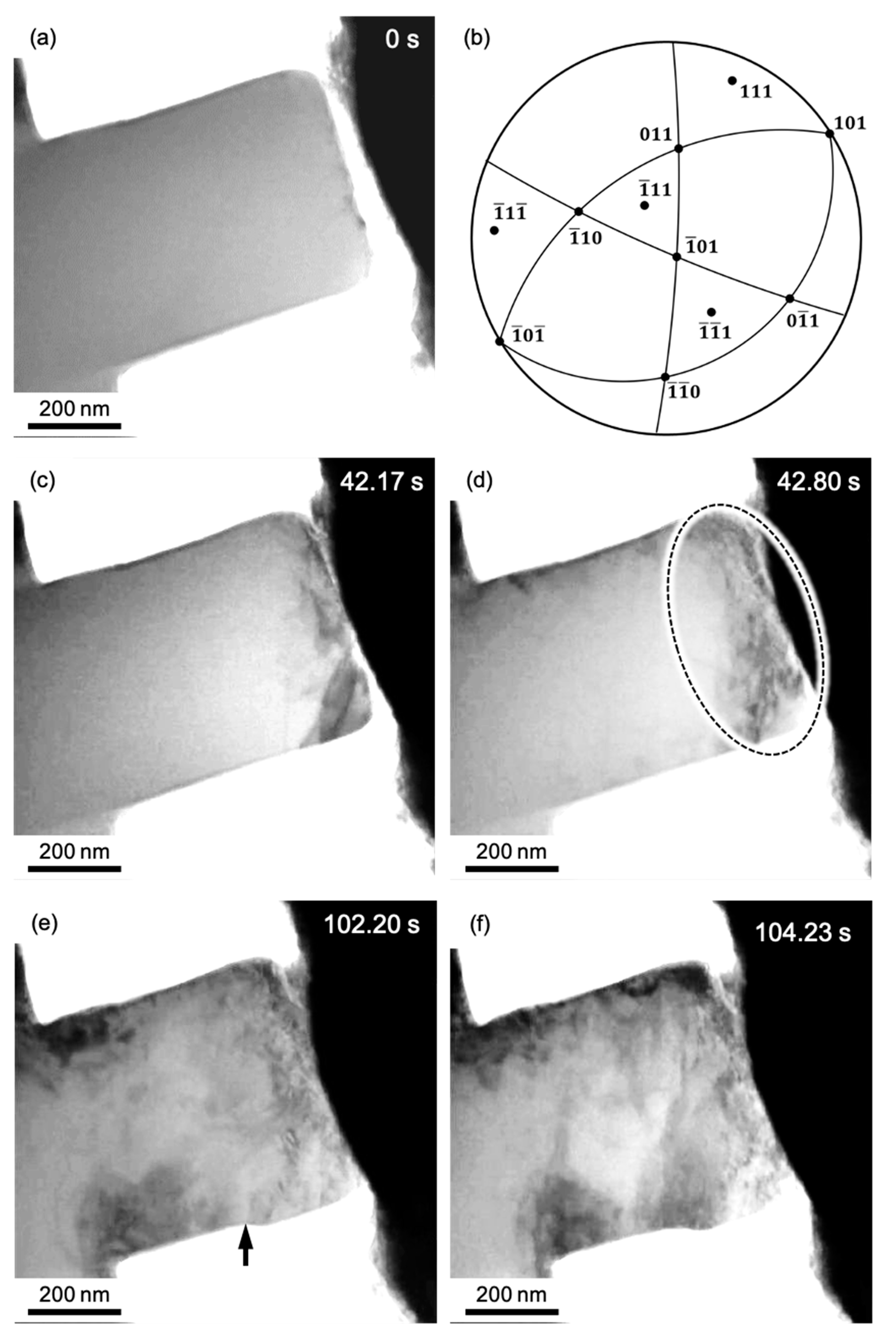 Materials 14 01431 g006 Materials 14 01431 g006