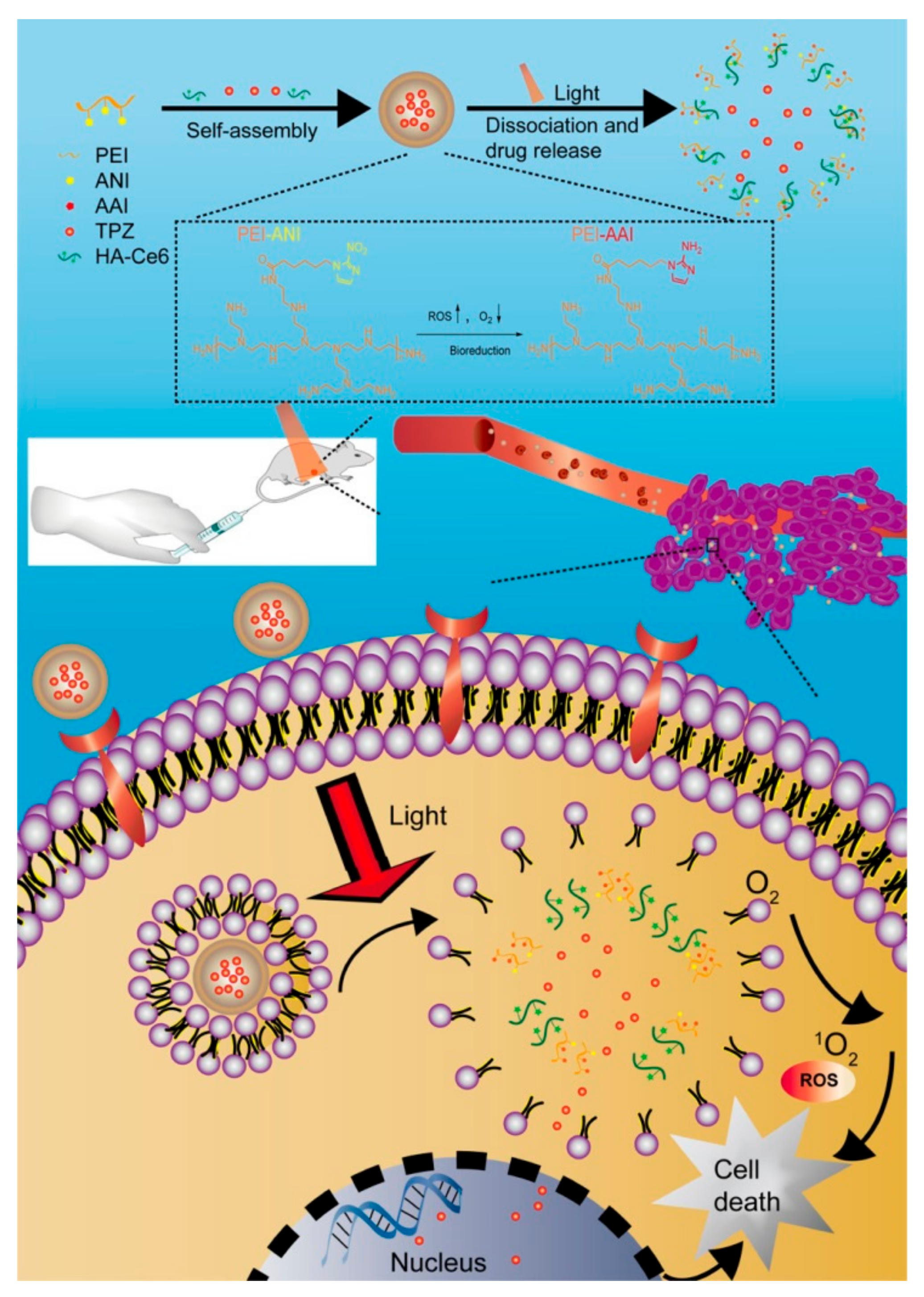 Materials 14 01435 g003 Materials 14 01435 g003