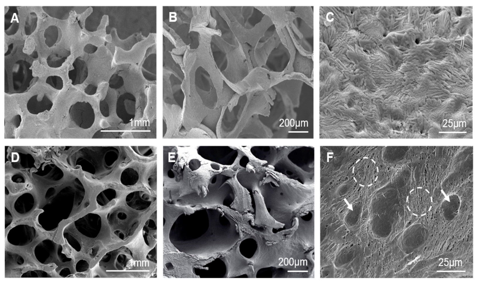 Materials 14 01439 g001