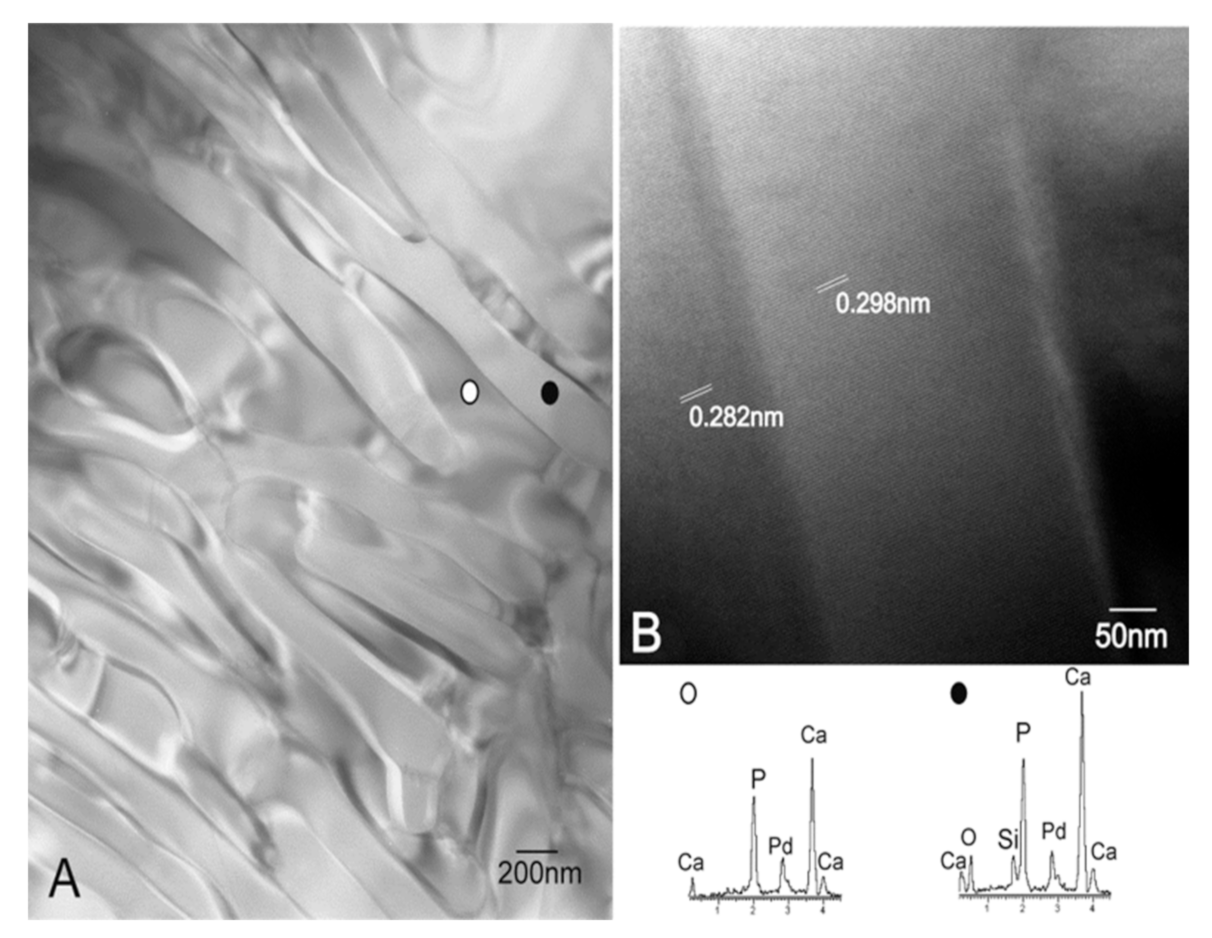 Materials 14 01439 g002