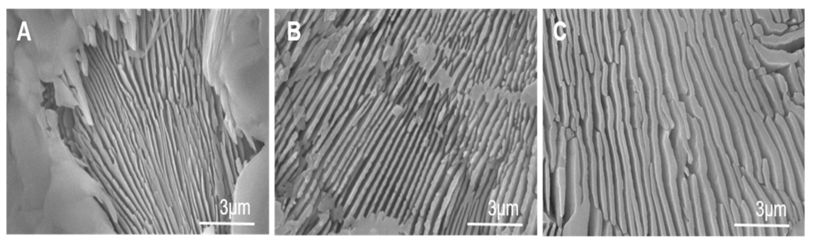 Materials 14 01439 g003