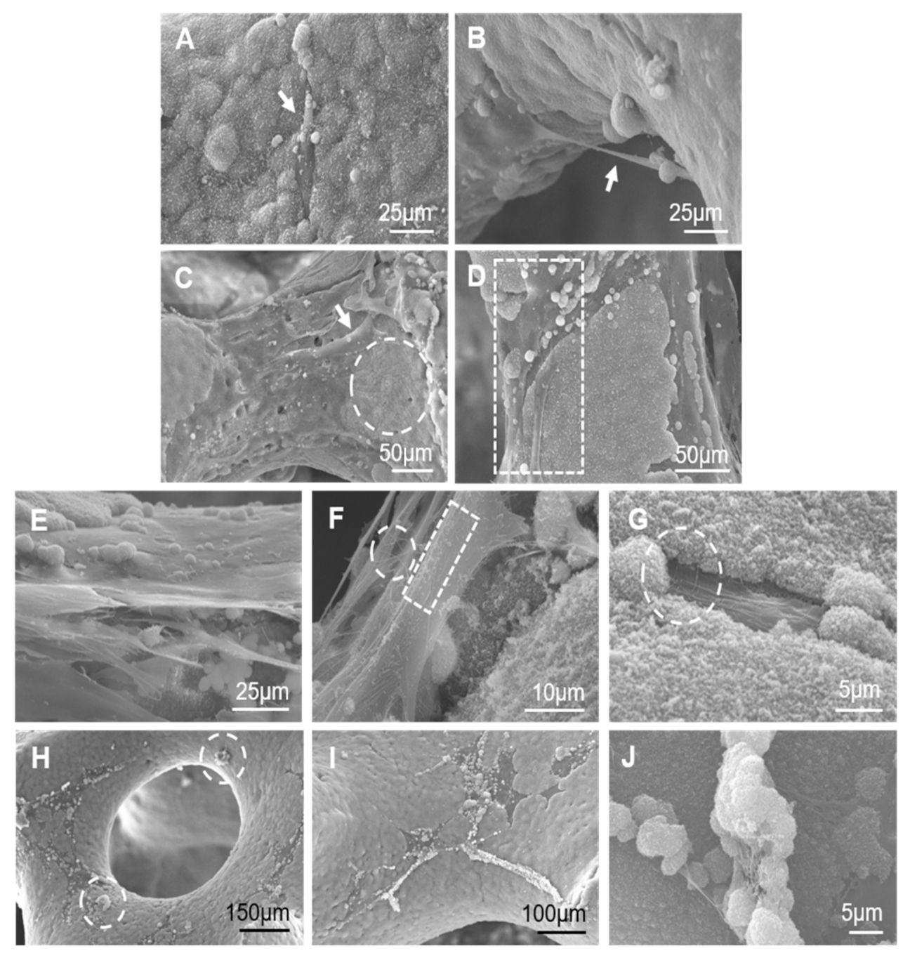 Materials 14 01439 g005