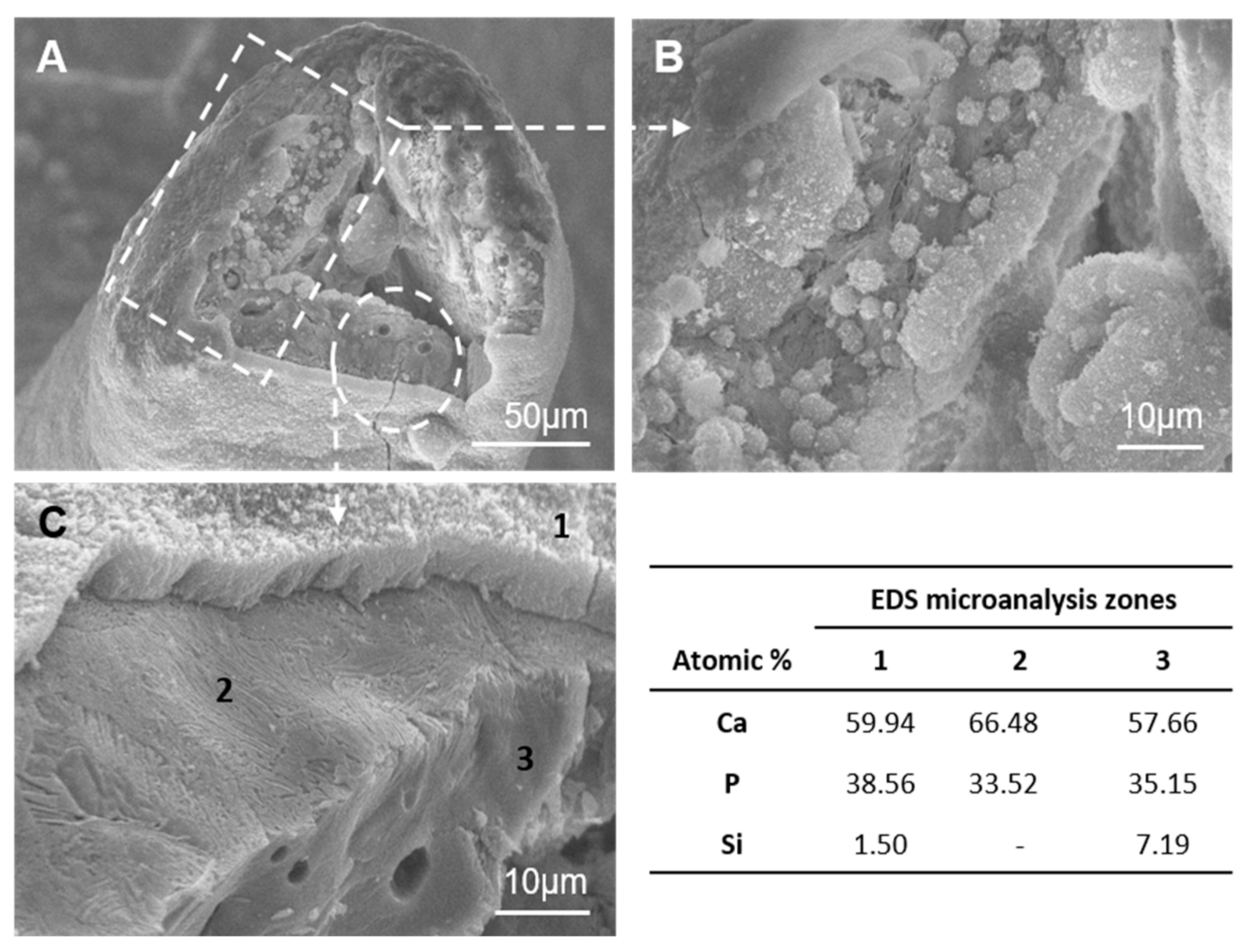 Materials 14 01439 g006