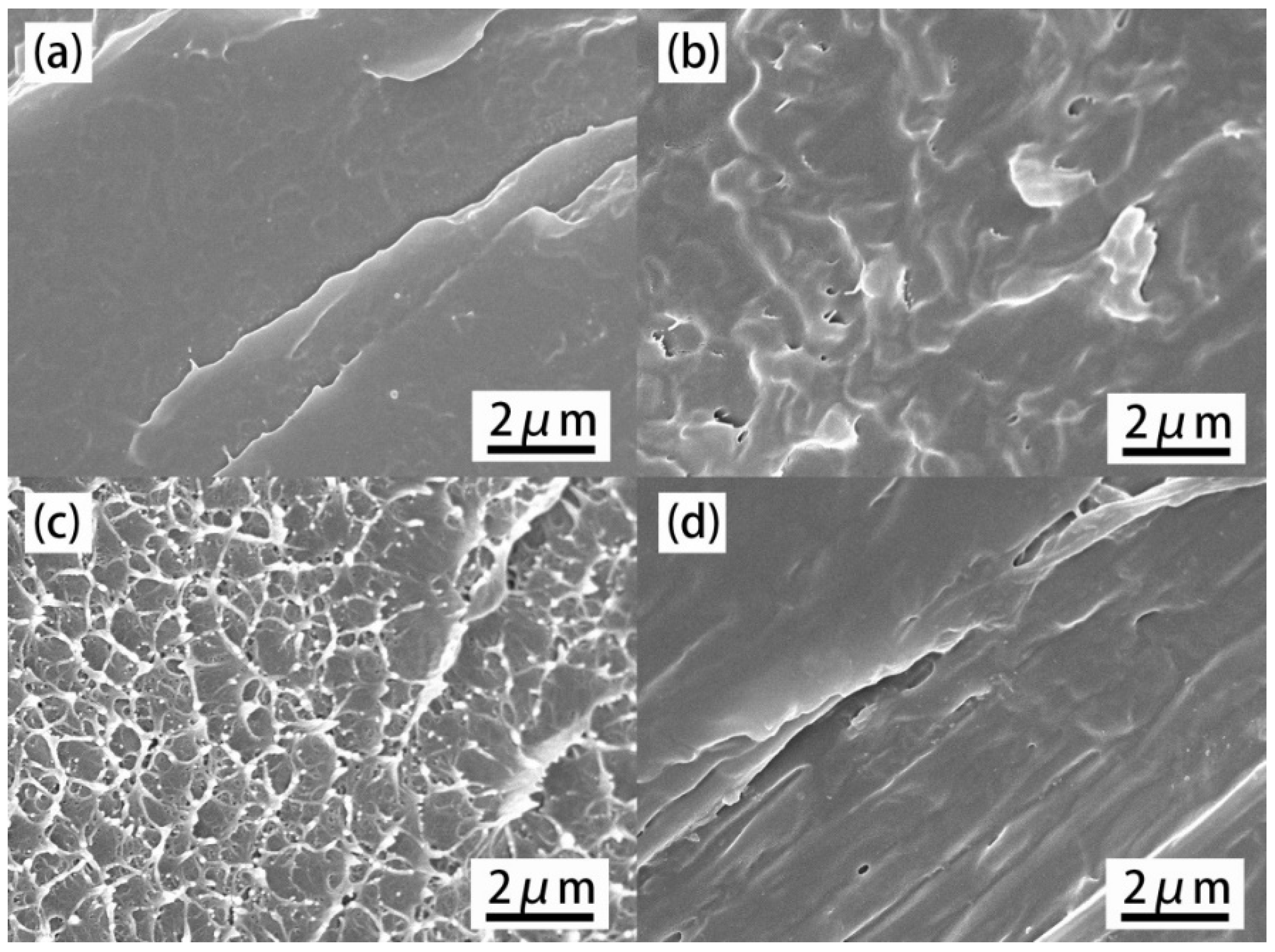 Materials 14 01470 g005 Materials 14 01470 g005