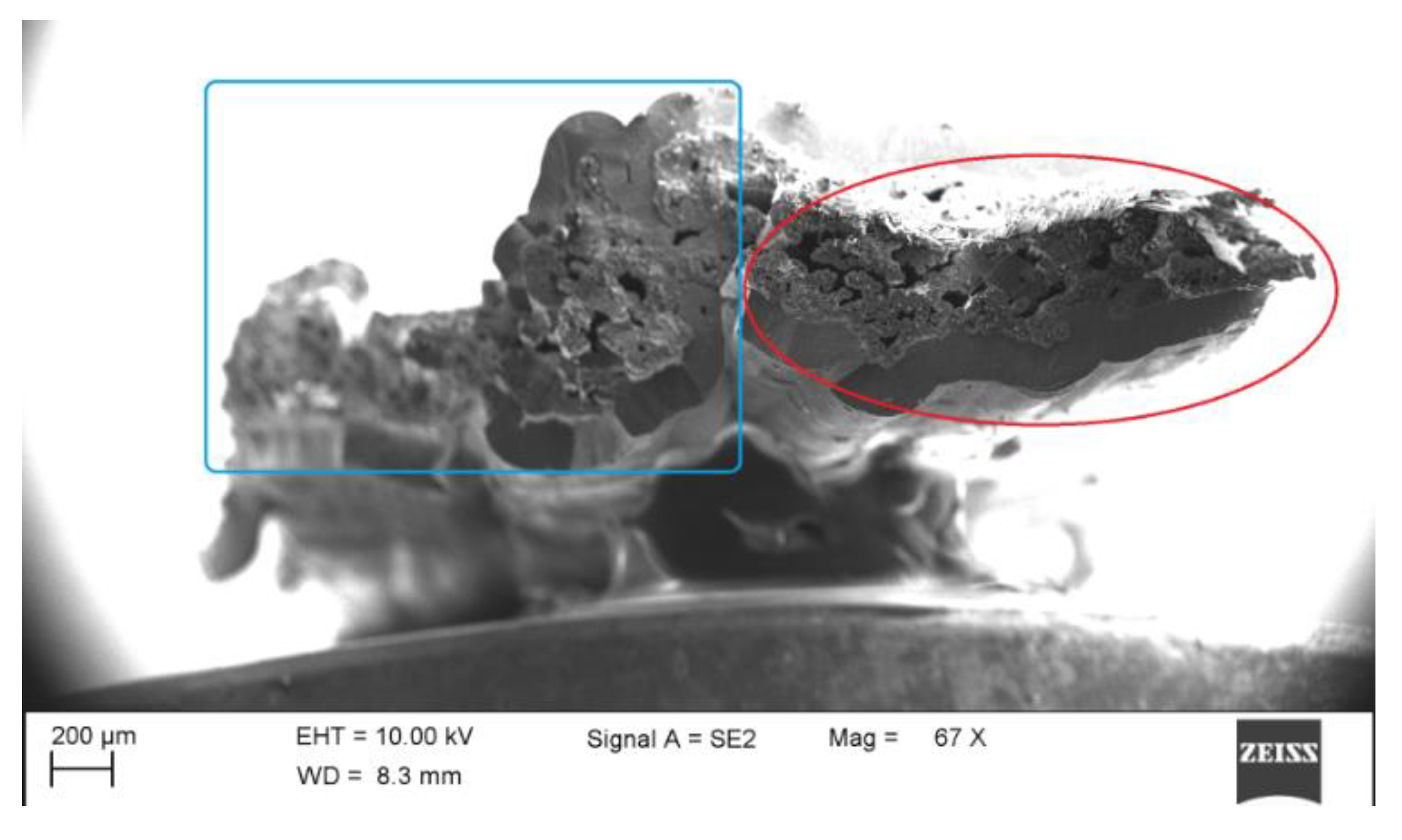 Materials 14 01525 g004 Materials 14 01525 g004