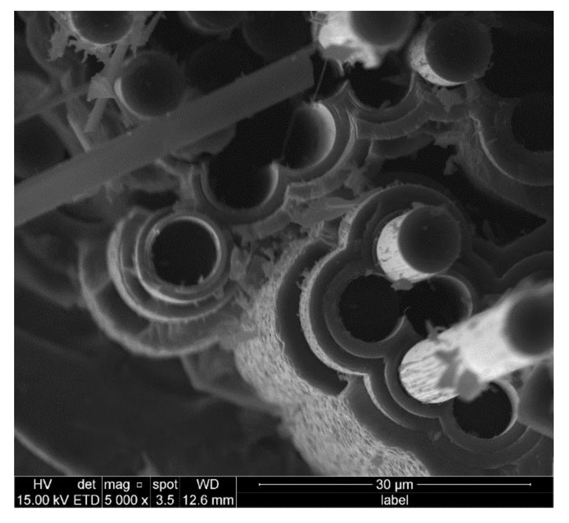 Materials 14 01525 g009 Materials 14 01525 g009