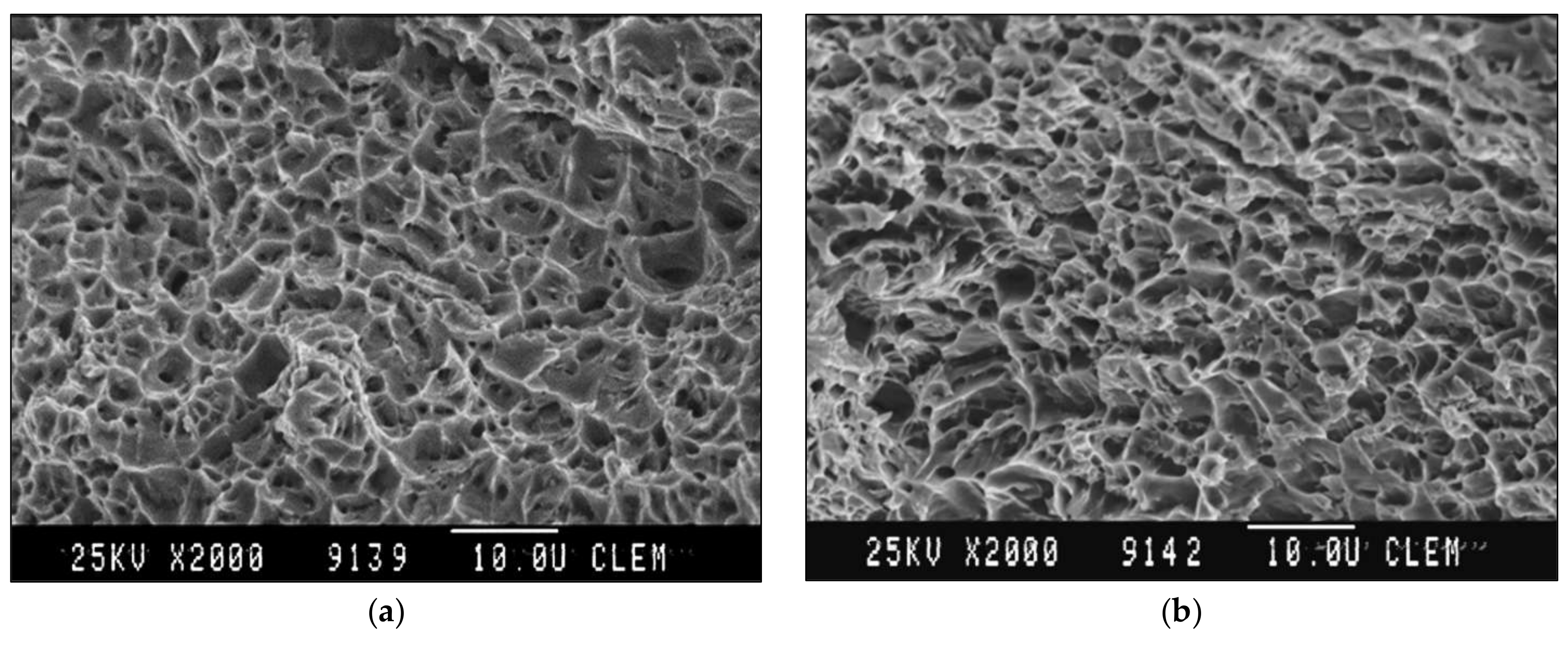 Materials 14 01553 g010