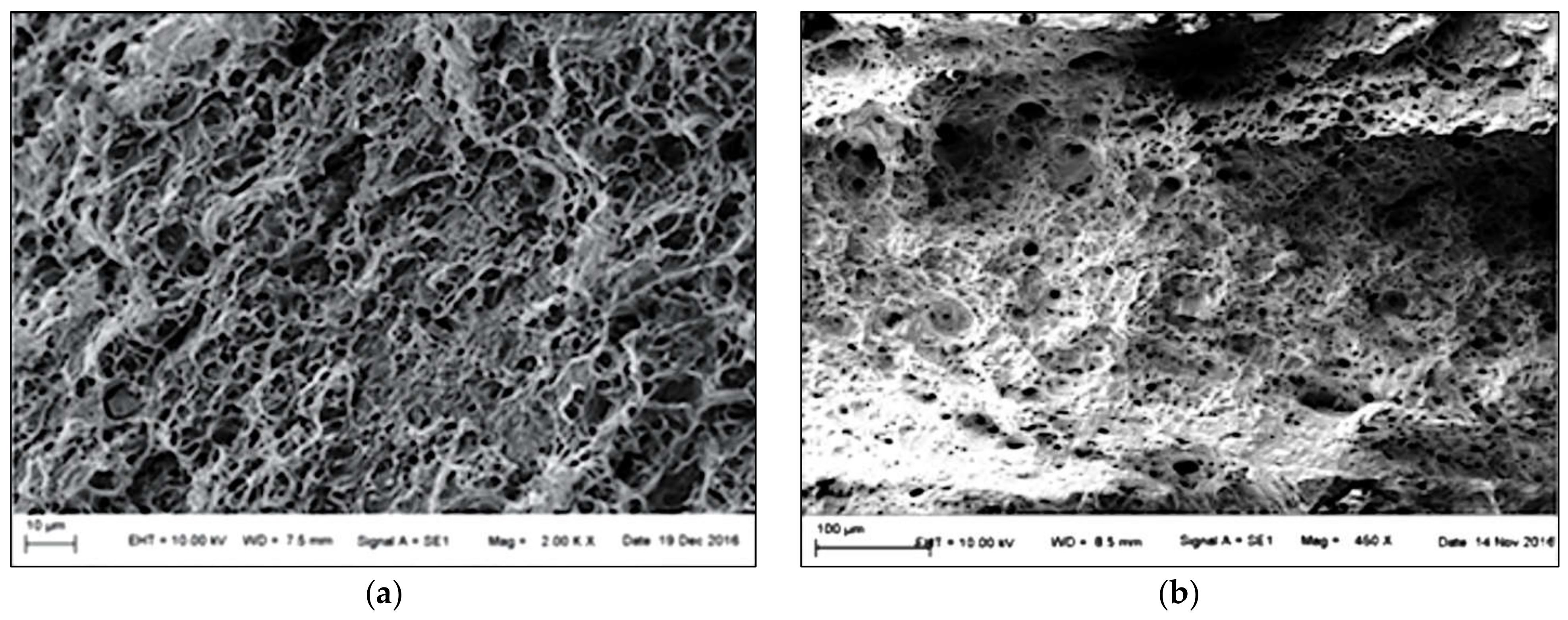 Materials 14 01553 g011