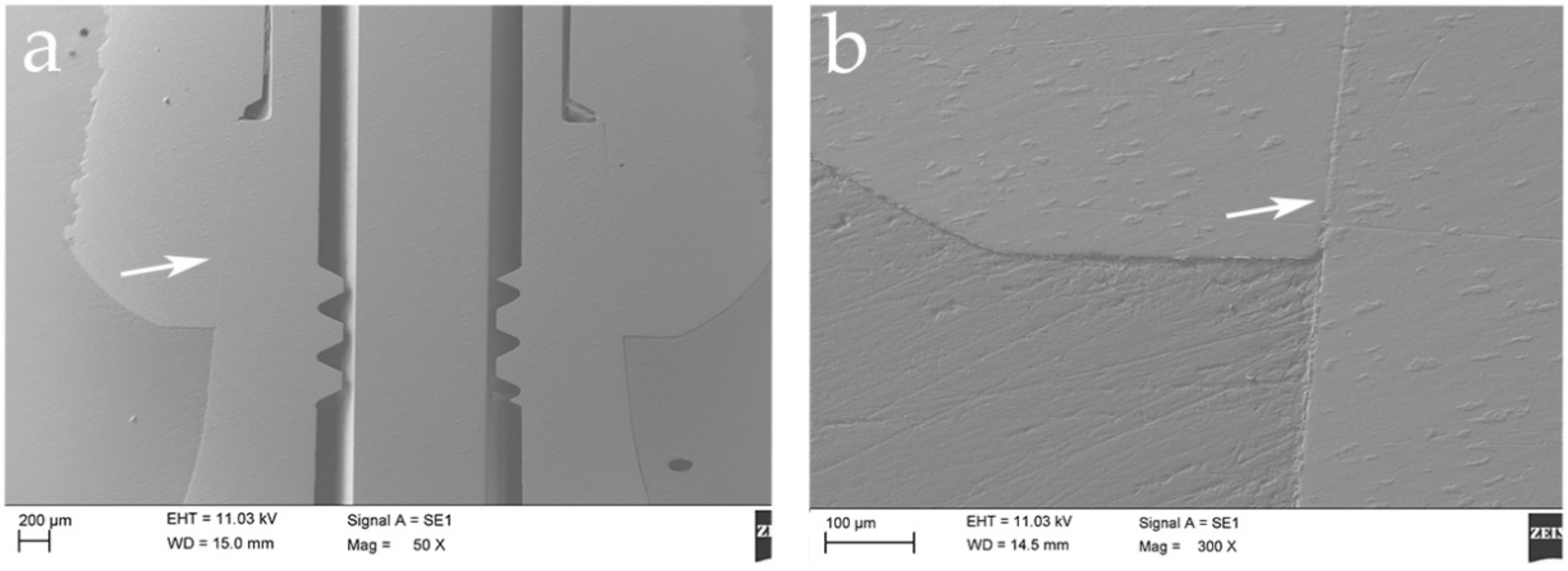 Materials 14 01555 g005 Materials 14 01555 g005
