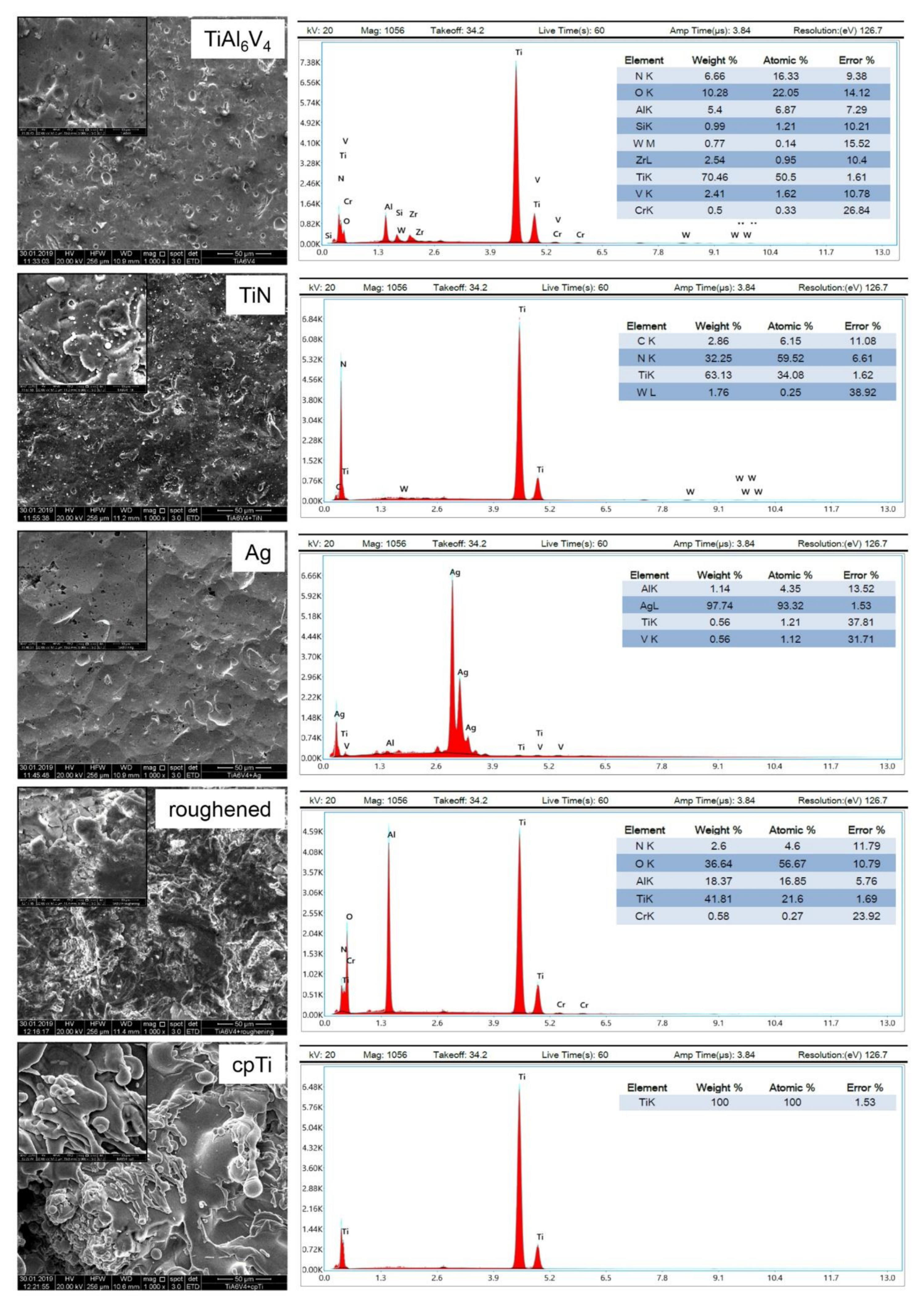 Materials 14 01574 g001 Materials 14 01574 g001