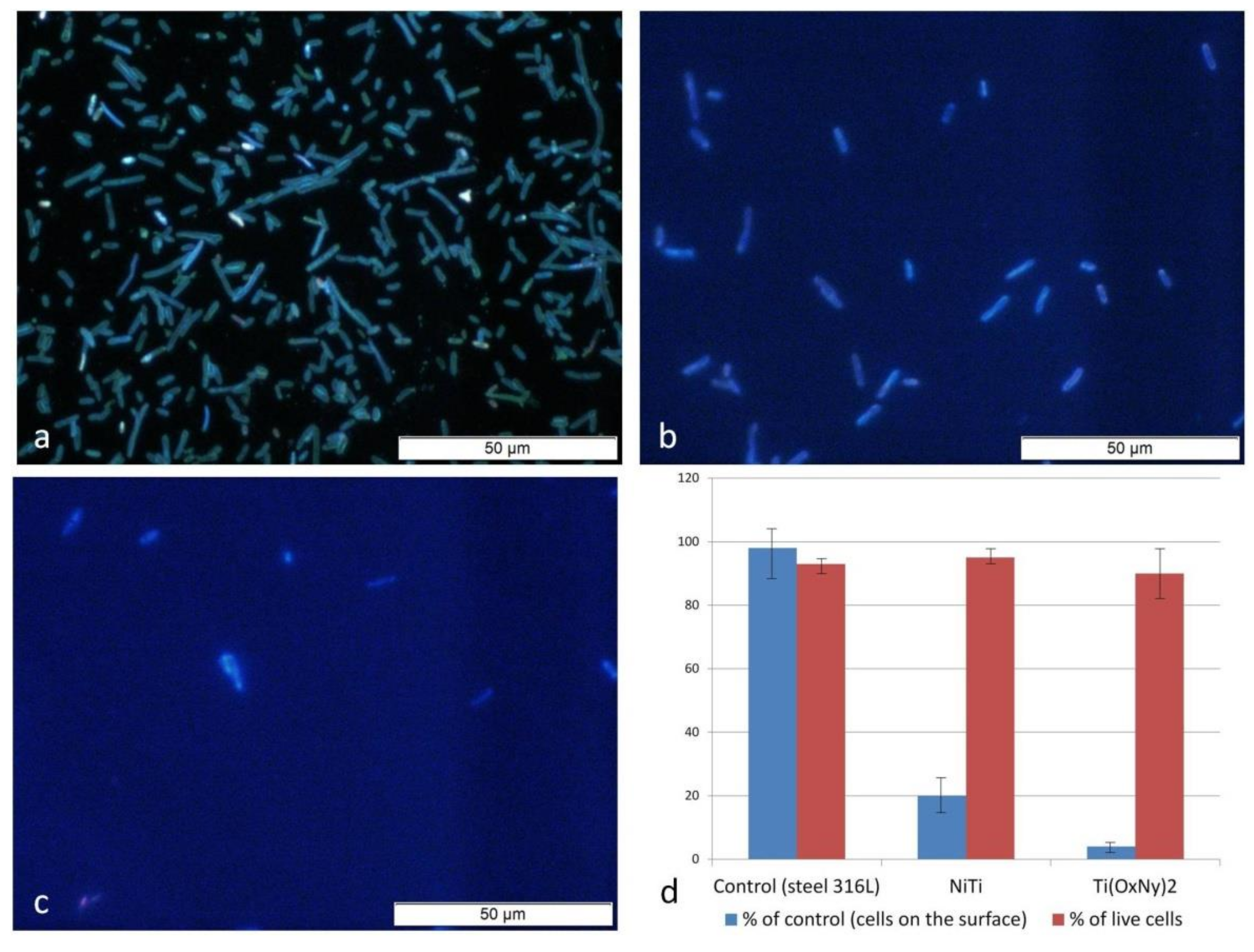 Materials 14 01575 g005