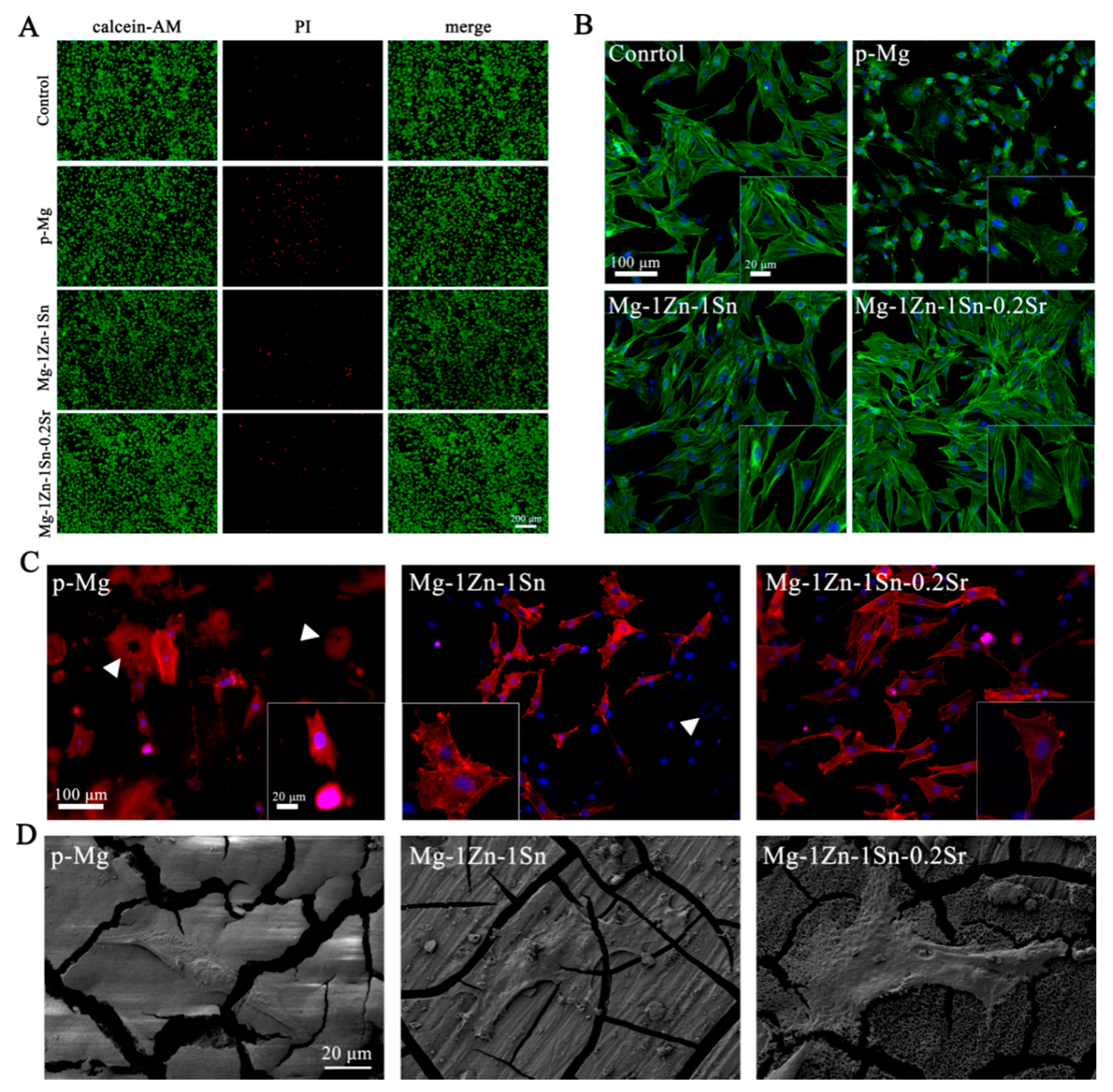 Materials 14 01606 g007 Materials 14 01606 g007