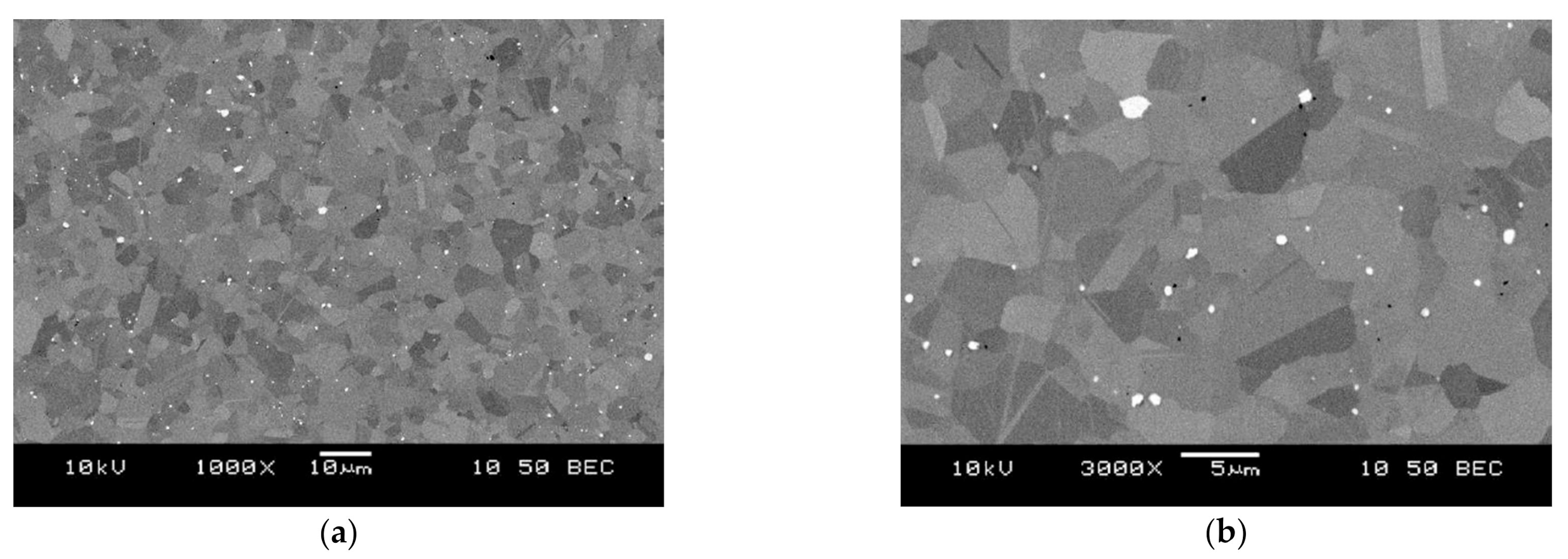 Materials 14 01623 g001