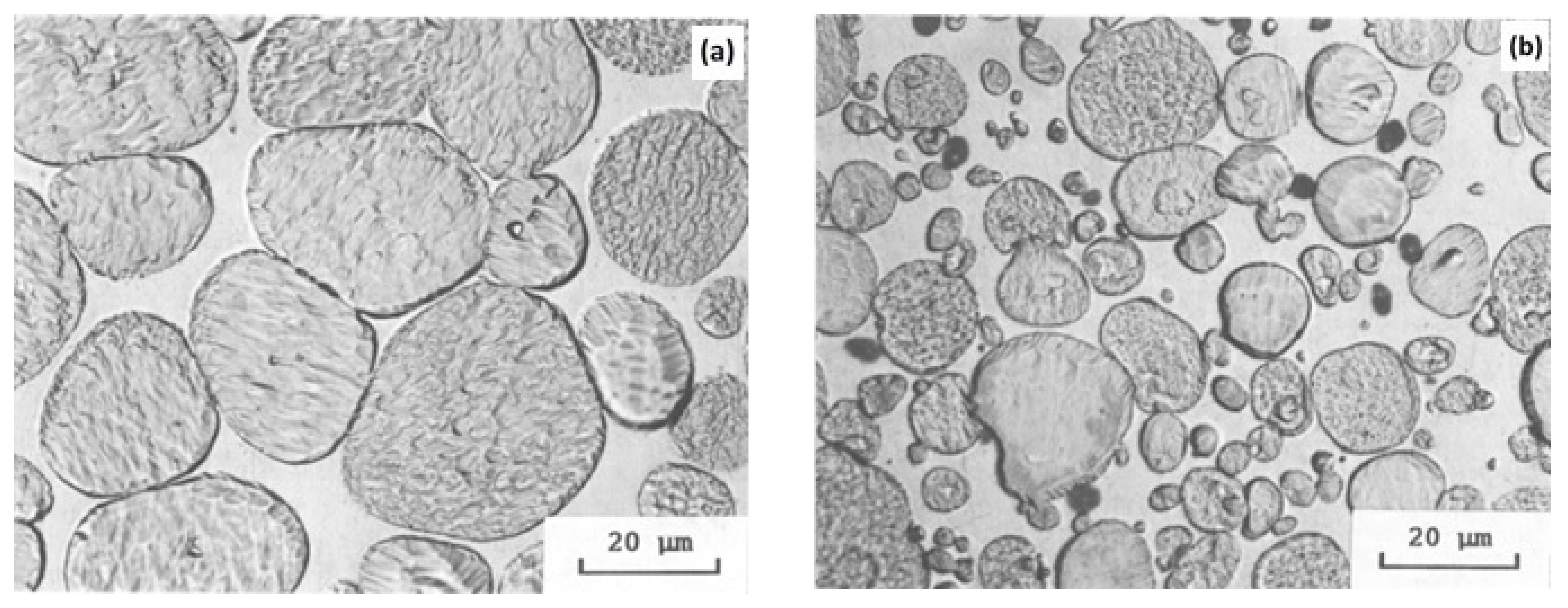 Materials 14 01660 g003