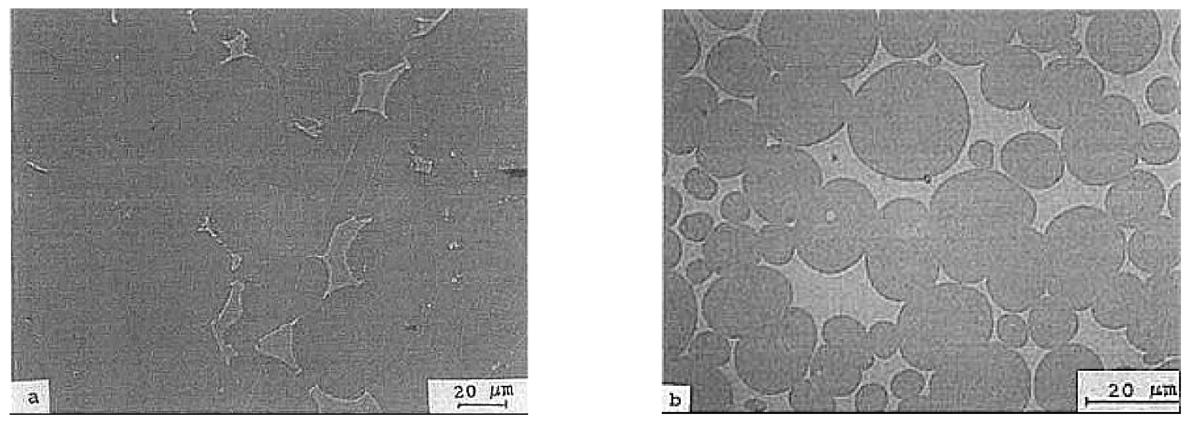 Materials 14 01660 g004