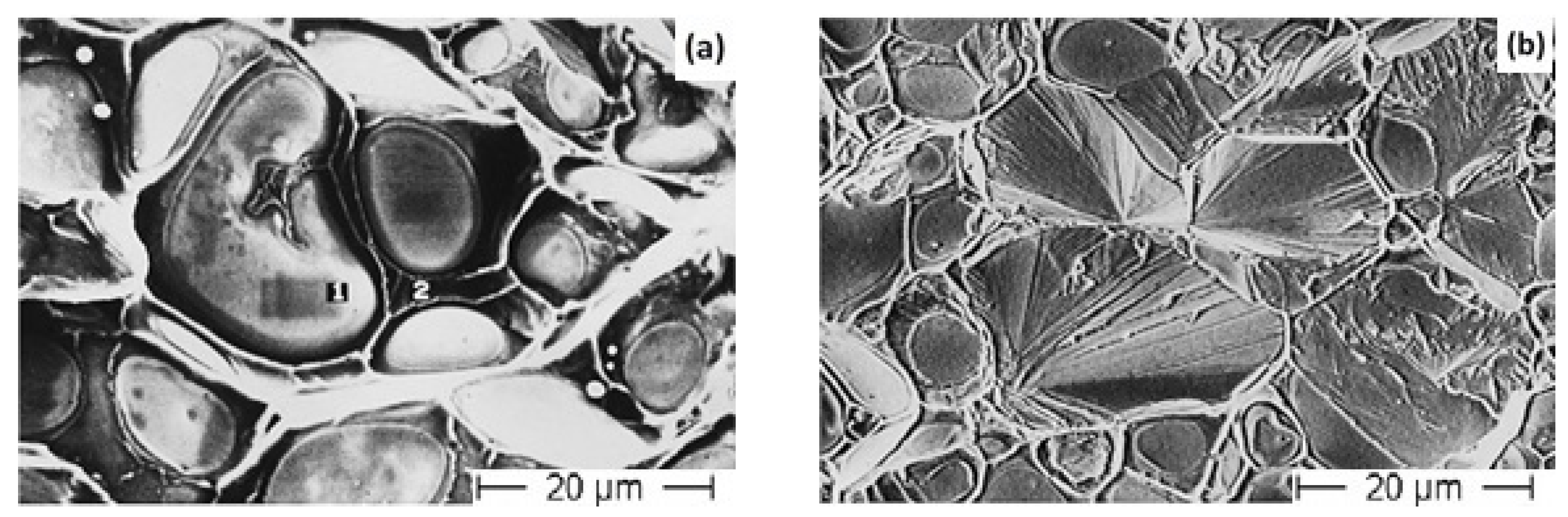 Materials 14 01660 g007