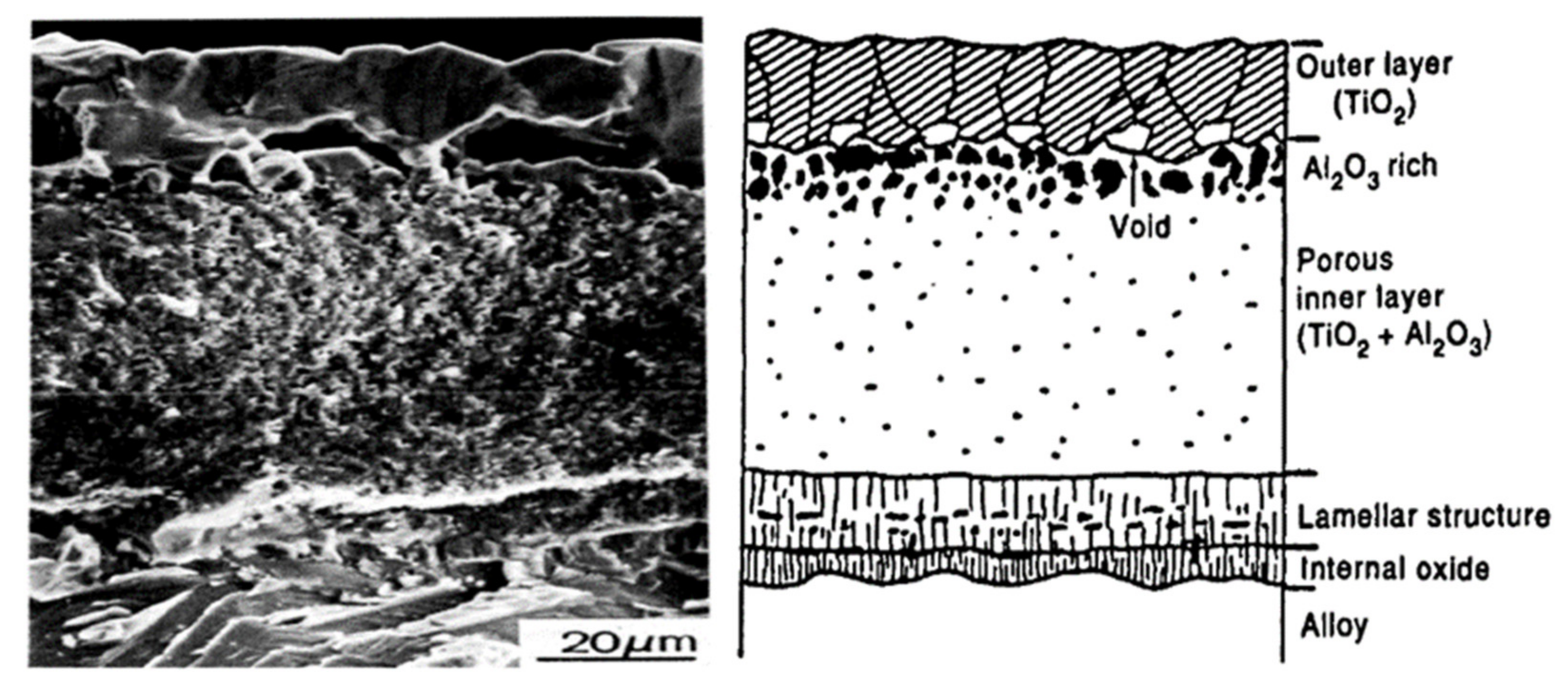 Materials 14 01677 g003 Materials 14 01677 g003