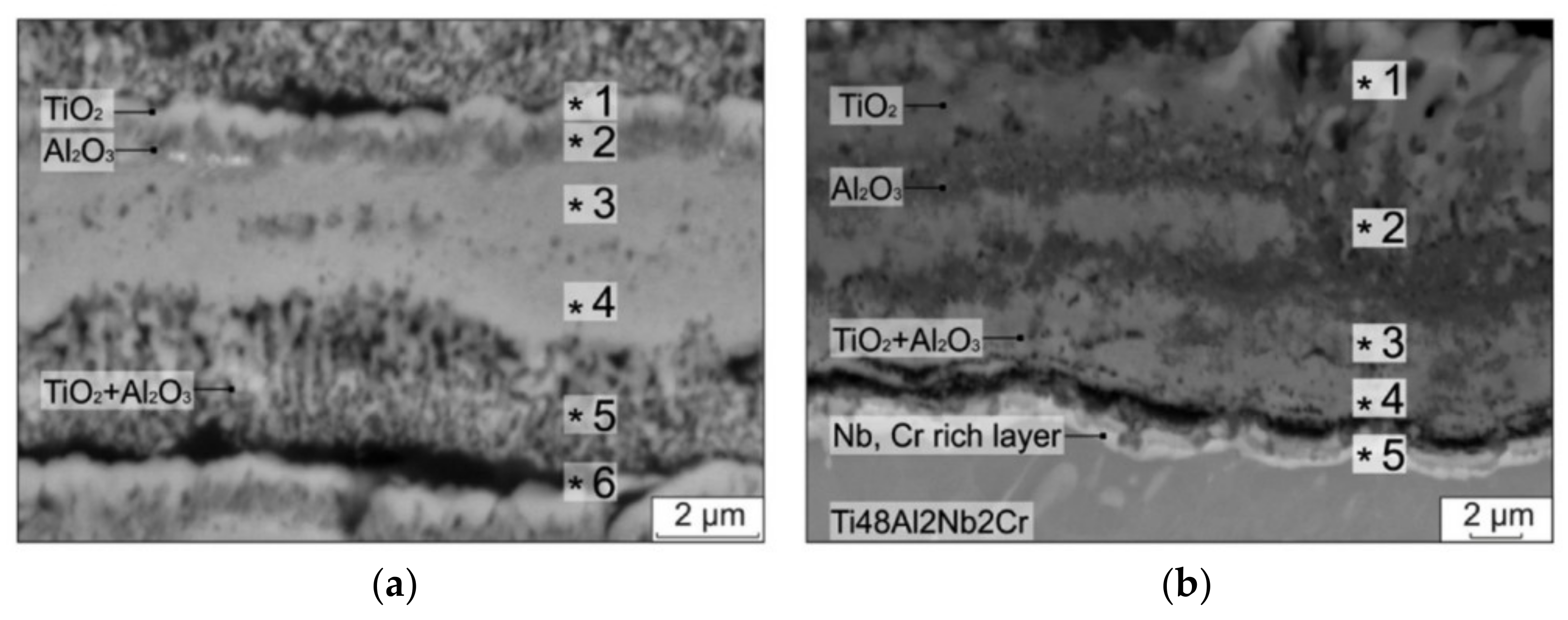 Materials 14 01677 g006 Materials 14 01677 g006