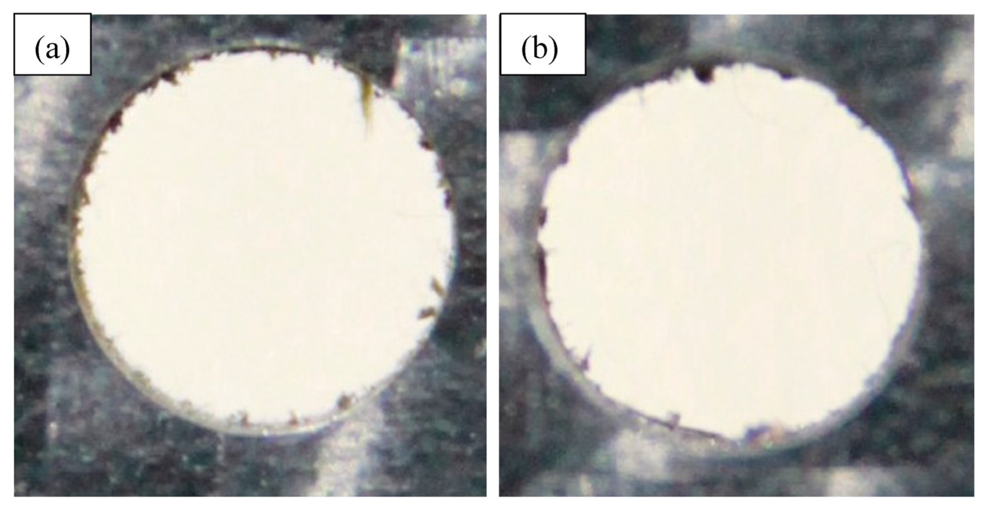 Materials 14 01699 g012