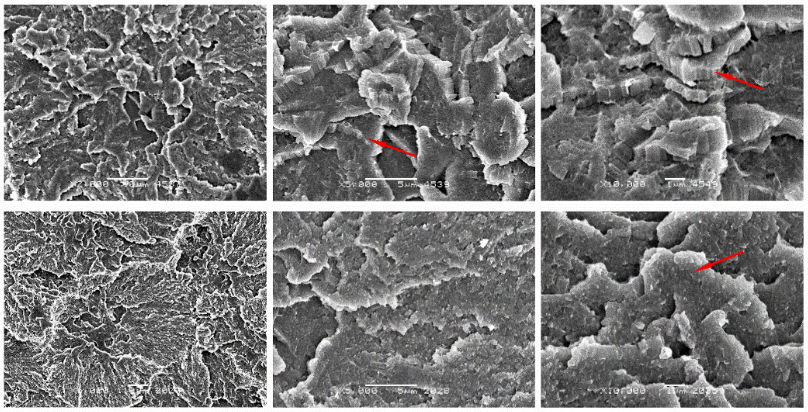 Materials 14 01712 g005