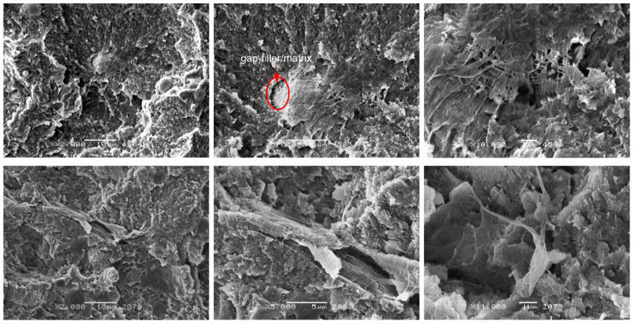 Materials 14 01712 g008