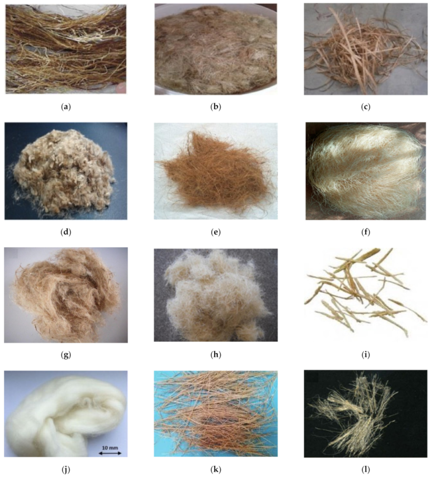 SciELO - Brasil - Mechanical properties and fractography of cement-based  composites reinforced by natural piassava and jute fibers Mechanical  properties and fractography of cement-based composites reinforced by  natural piassava and jute fibers