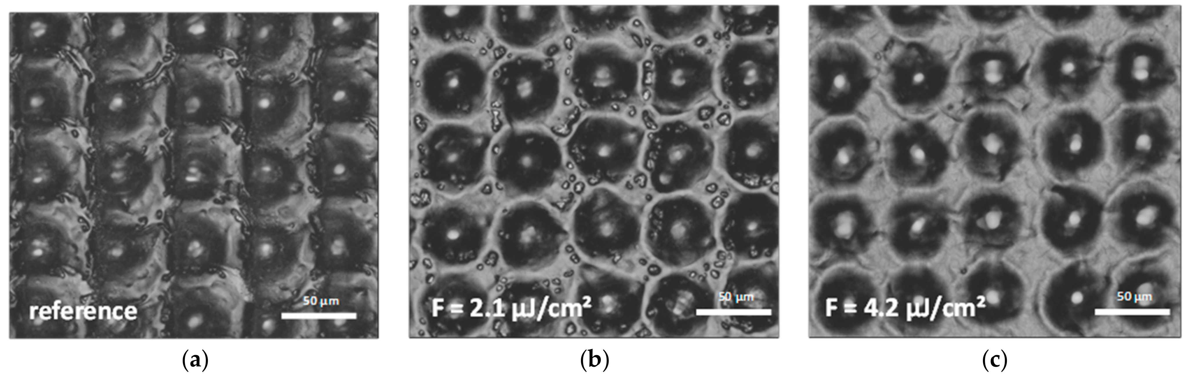 Materials 14 01756 g005 Materials 14 01756 g005
