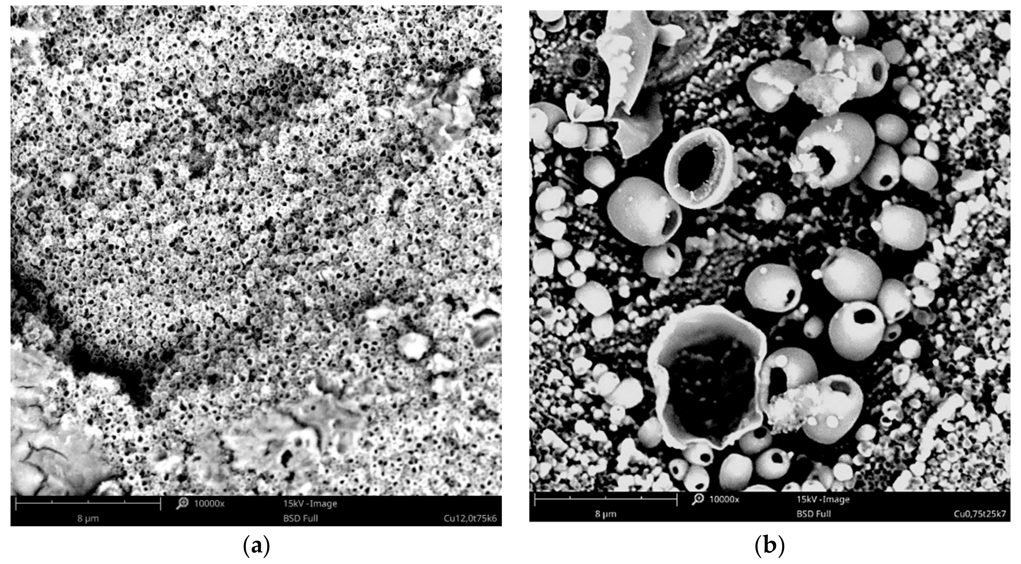 Materials 14 01762 g002